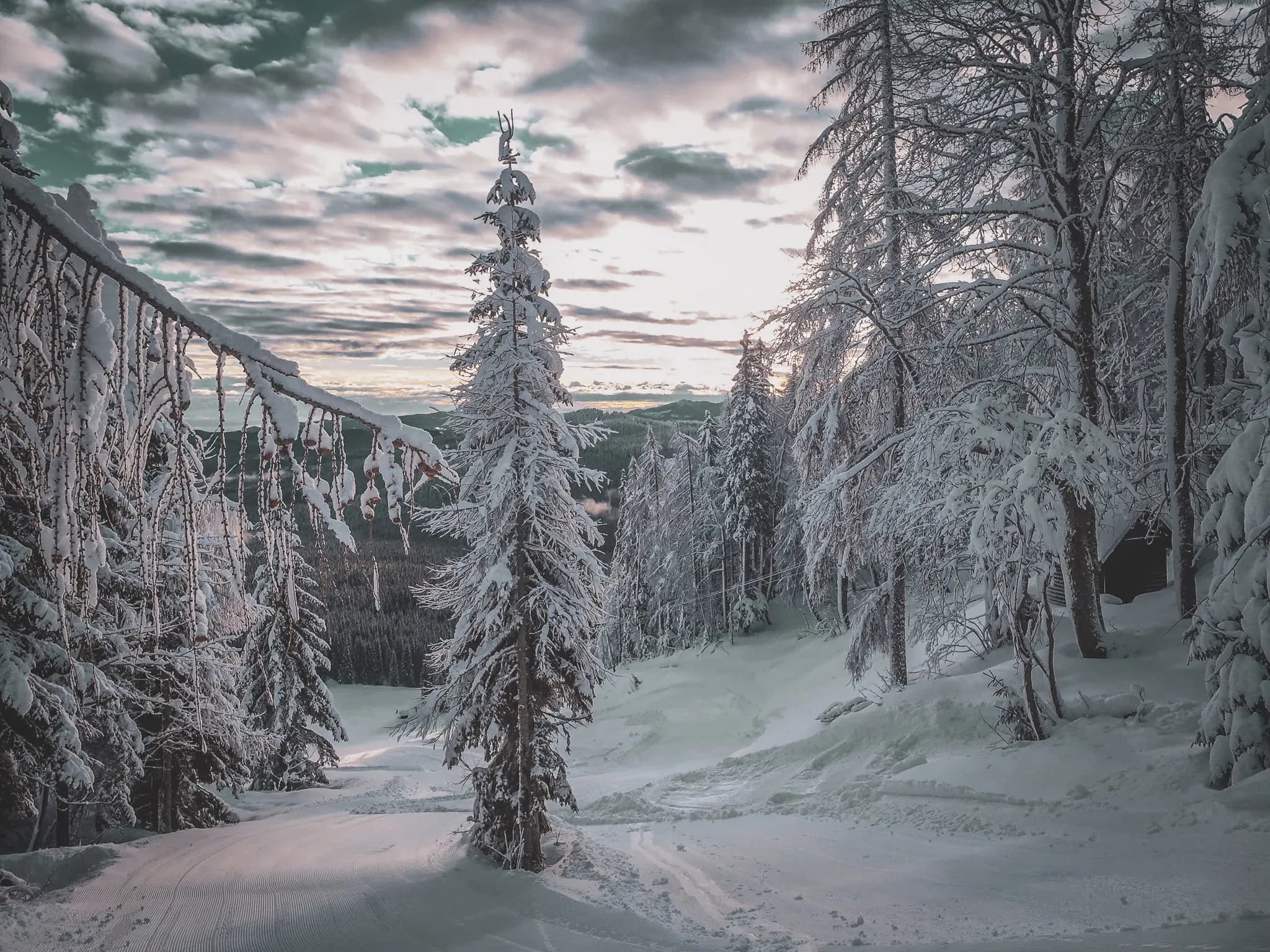 Paysage hivernal enchanteur des Alpes juliennes, avec des arbres couverts de neige et un ciel dramatique.