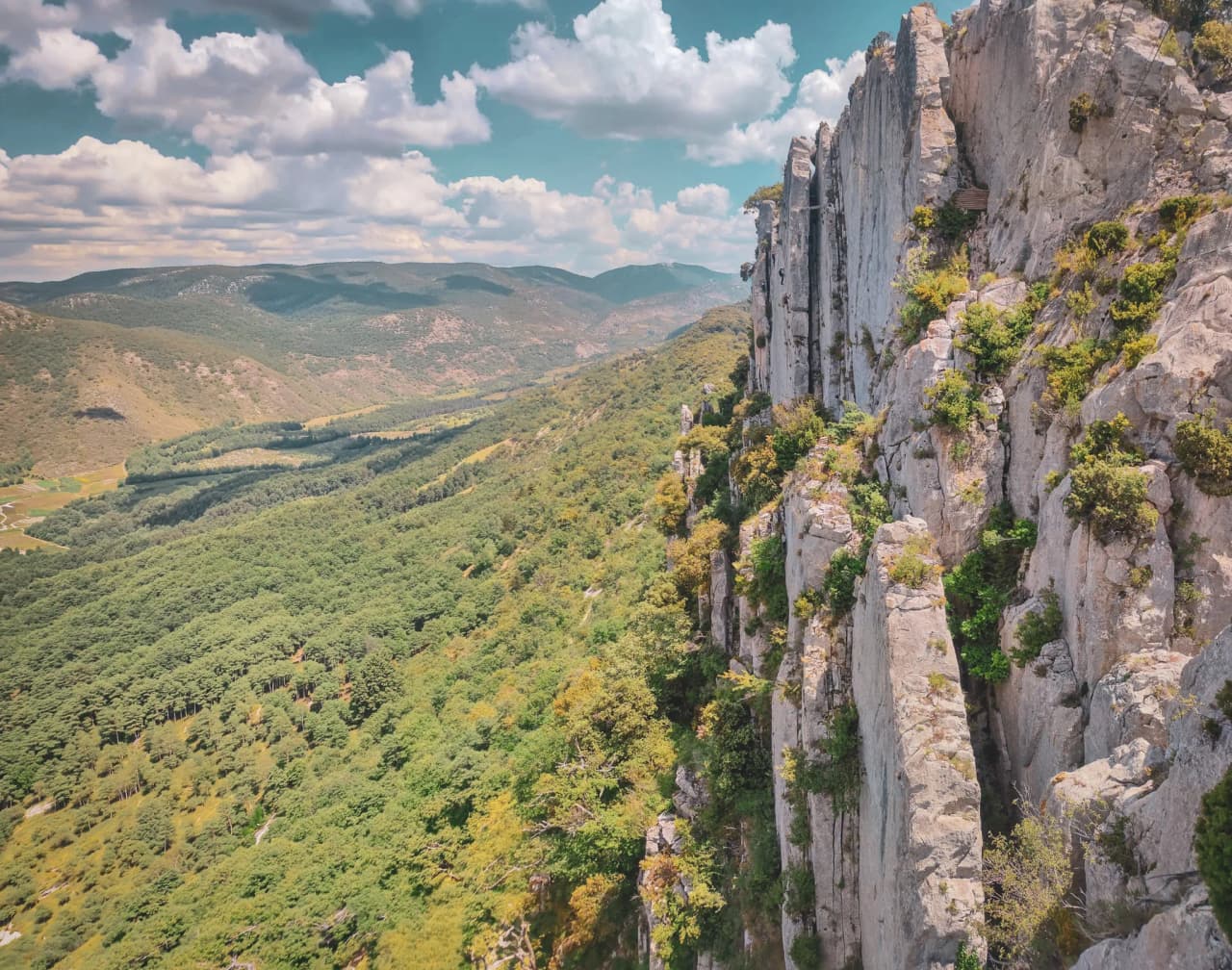 Panorama des Dentelles de Montmirail, falaises majestueuses et verdure luxuriante sous un ciel bleu.