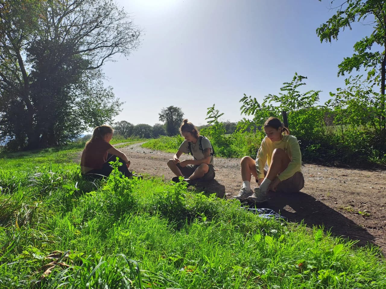 Three people sitting on a sunny path, surrounded by greenery, enjoying nature.