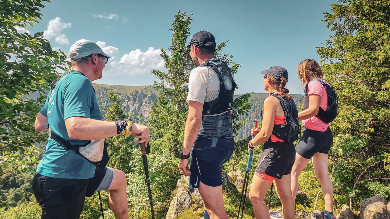 Groupe de randonneurs admirant le paysage montagneux des Vosges lors d'un stage de trail.