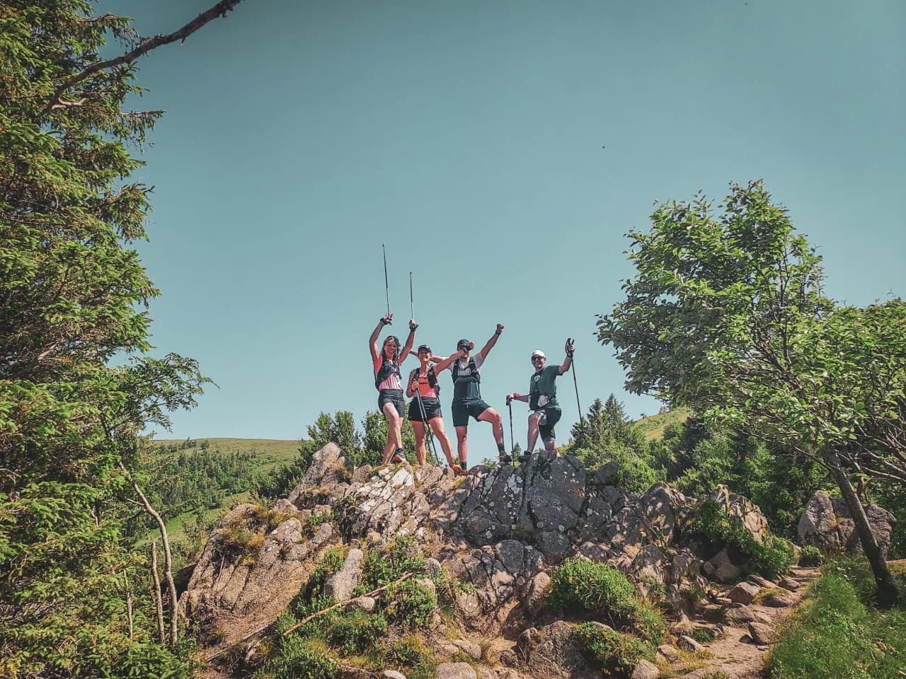 Five enthusiastic hikers pose on a rock, surrounded by greenery and under a blue sky.