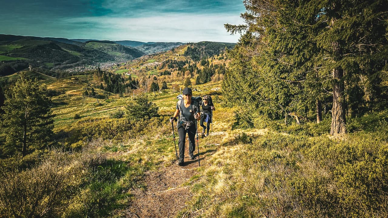 A group of hikers on a green trail in the Vosges, surrounded by picturesque scenery.