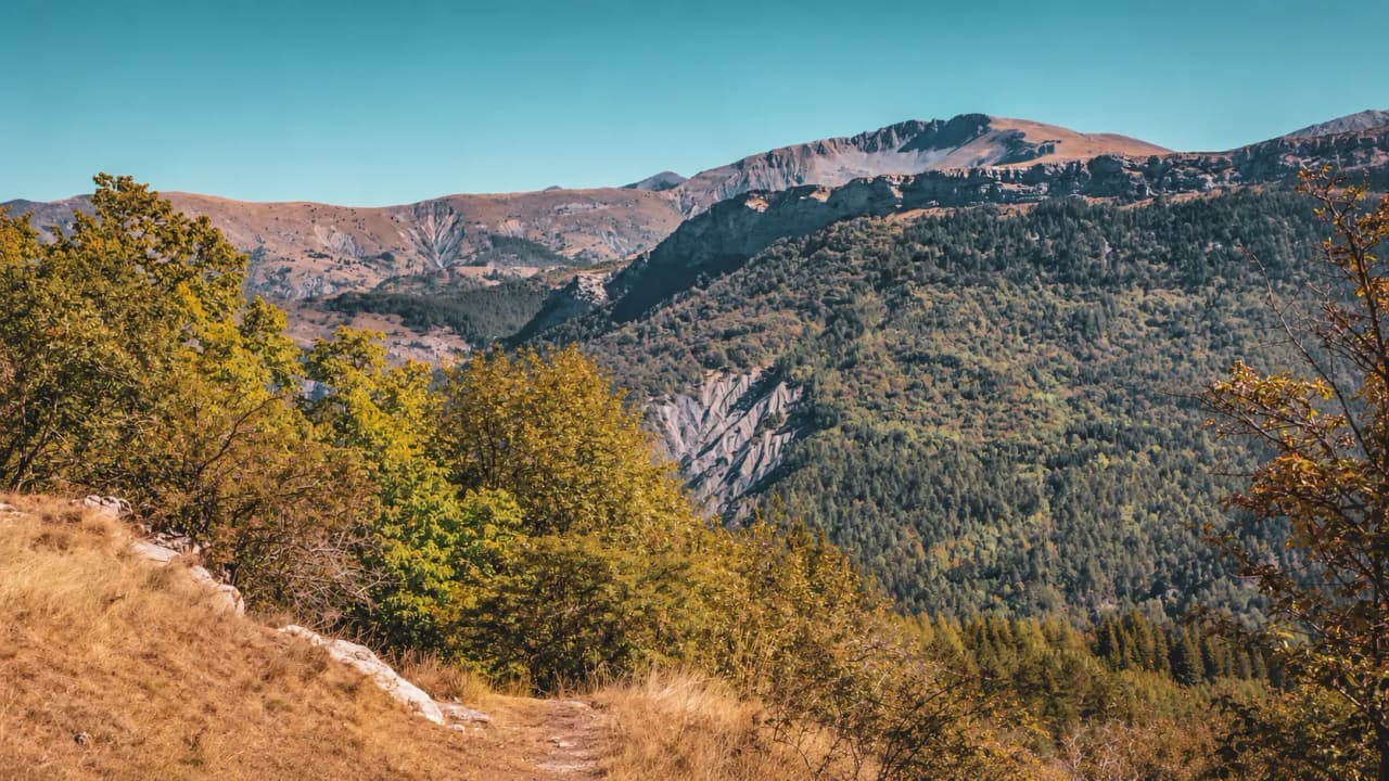 Vue panoramique sur les montagnes des Écrins, parsemées d'arbres dorés et de paysages à couper le souffle.