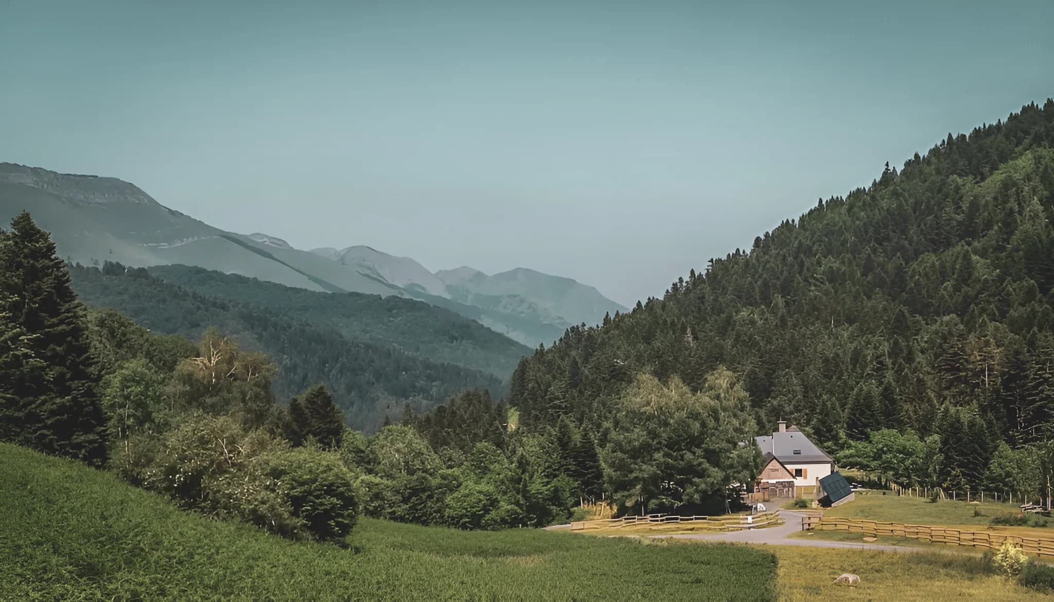 Een groen landschap in de Pyreneeën, omringd door bergen, nodigt uit tot avontuur en een wilde onderdompeling.