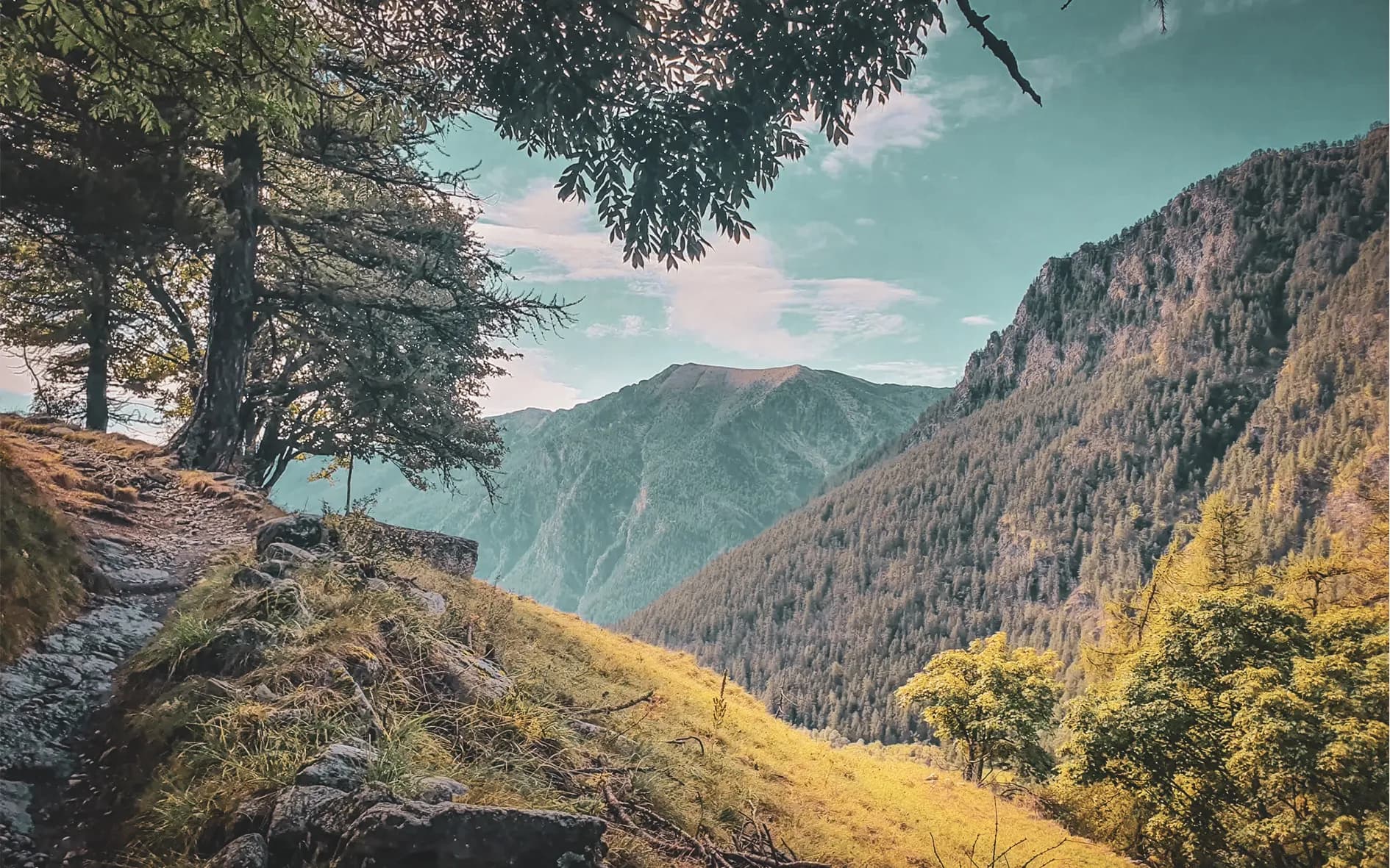 Een panoramisch pad dat langs weelderig groene bergen loopt en je uitnodigt voor een alpien avontuur.