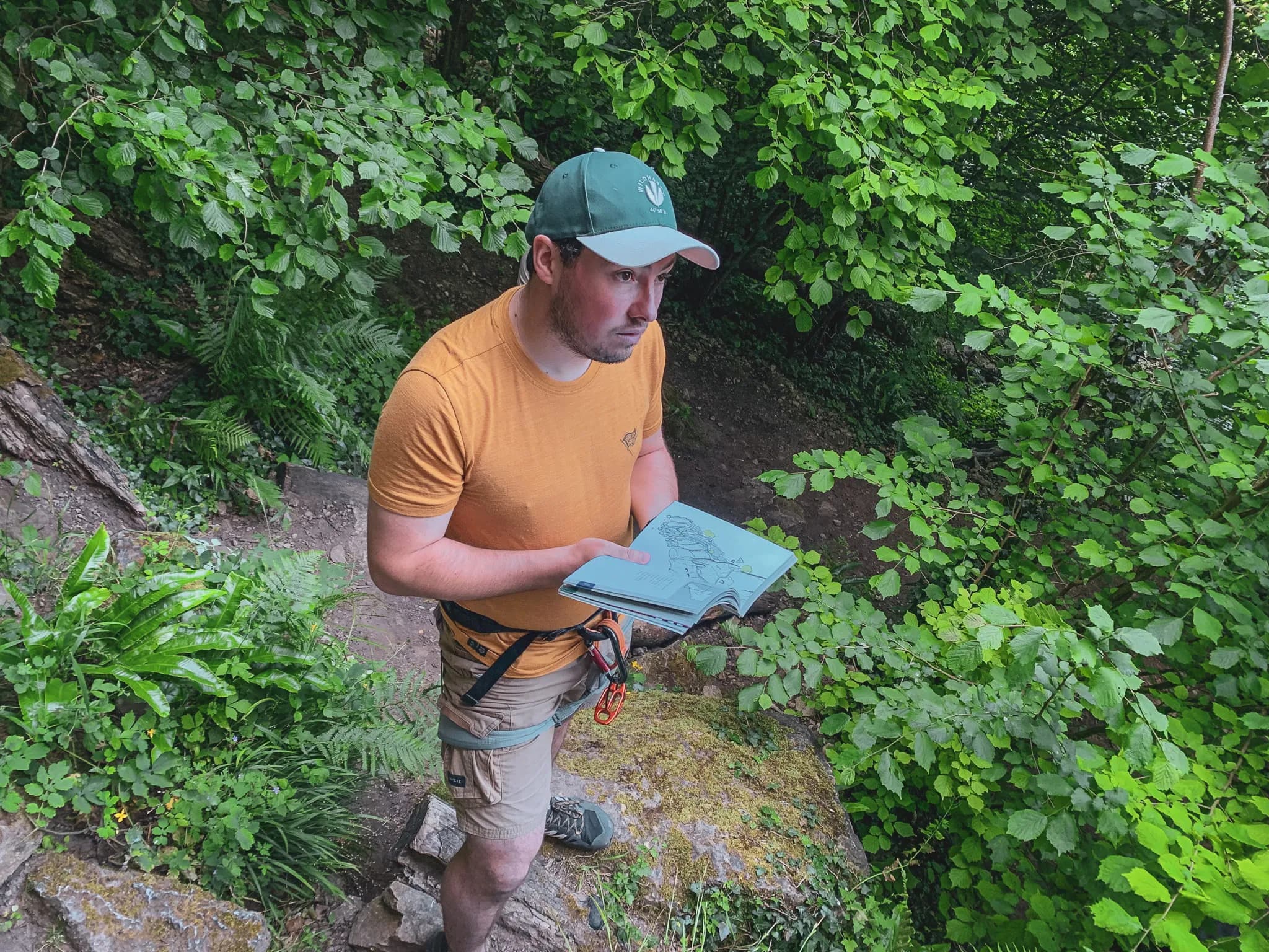 An attentive climber, guide in hand, in the heart of a green forest in Belgium.