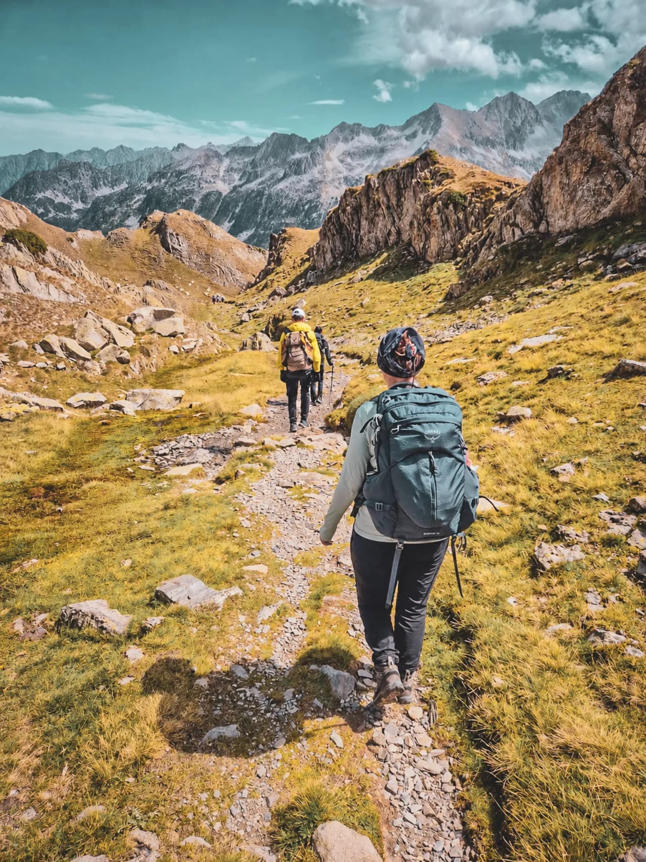 Hiking and wildlife watching in the Pyrenees