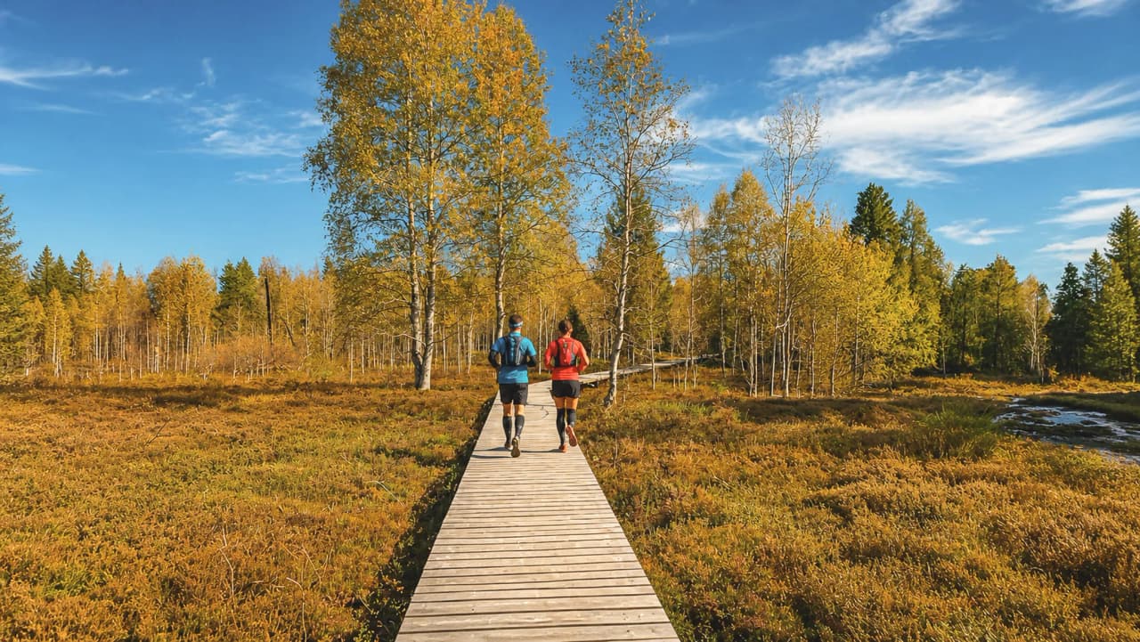 Couple running along a wooden path, surrounded by autumn landscapes in the Jura.