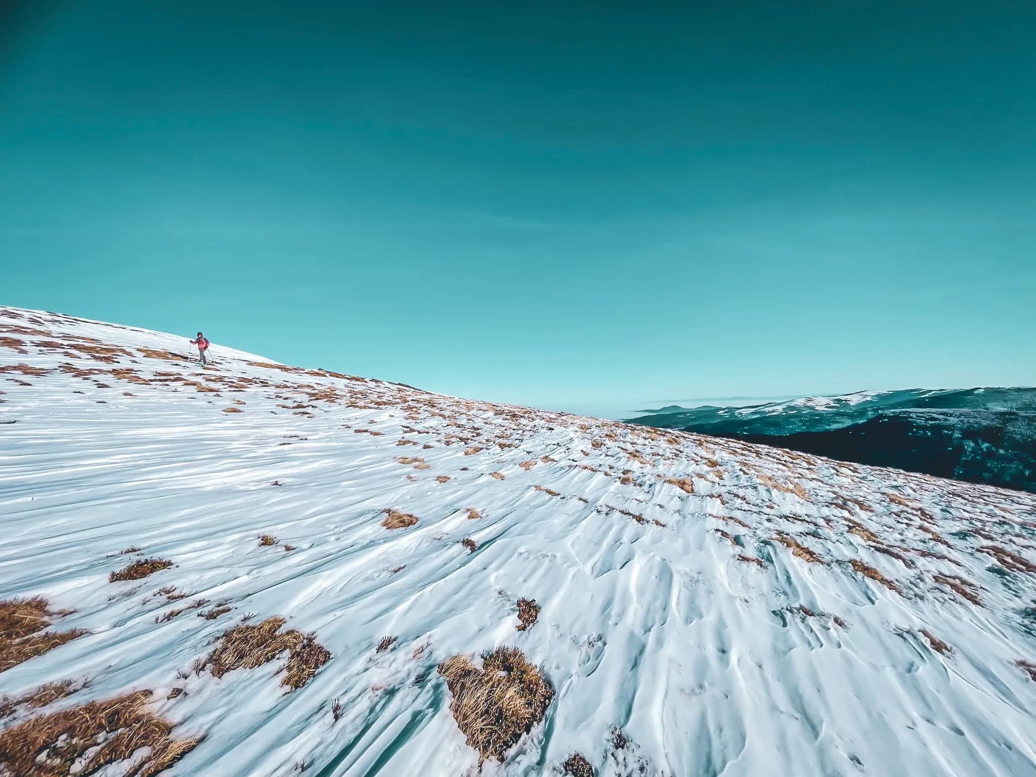 A hiker explores the vast snowfields of the Vosges under a brilliant blue sky.