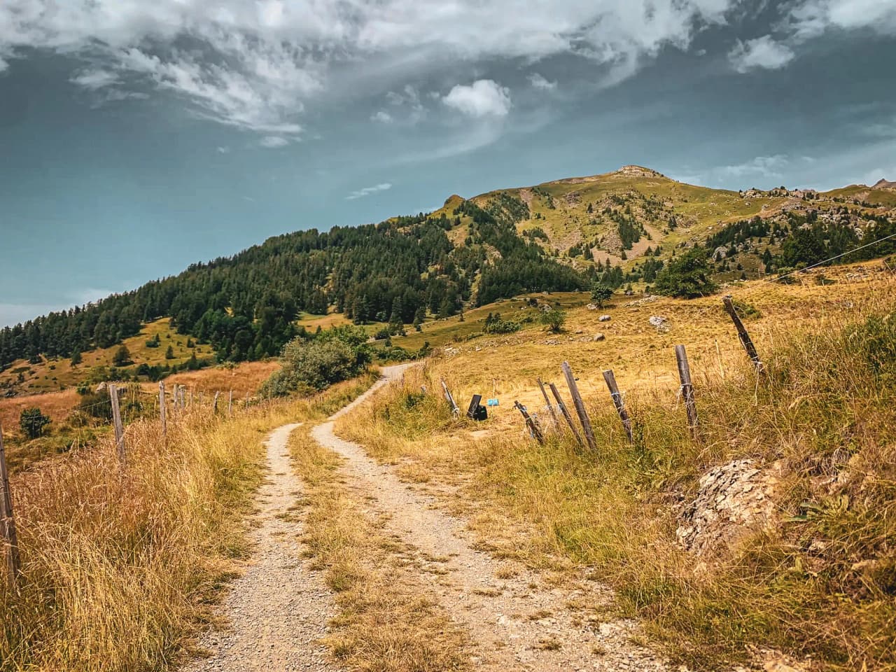 A winding path leading to a verdant mountain in the heart of the Écrins. An invitation to adventure.