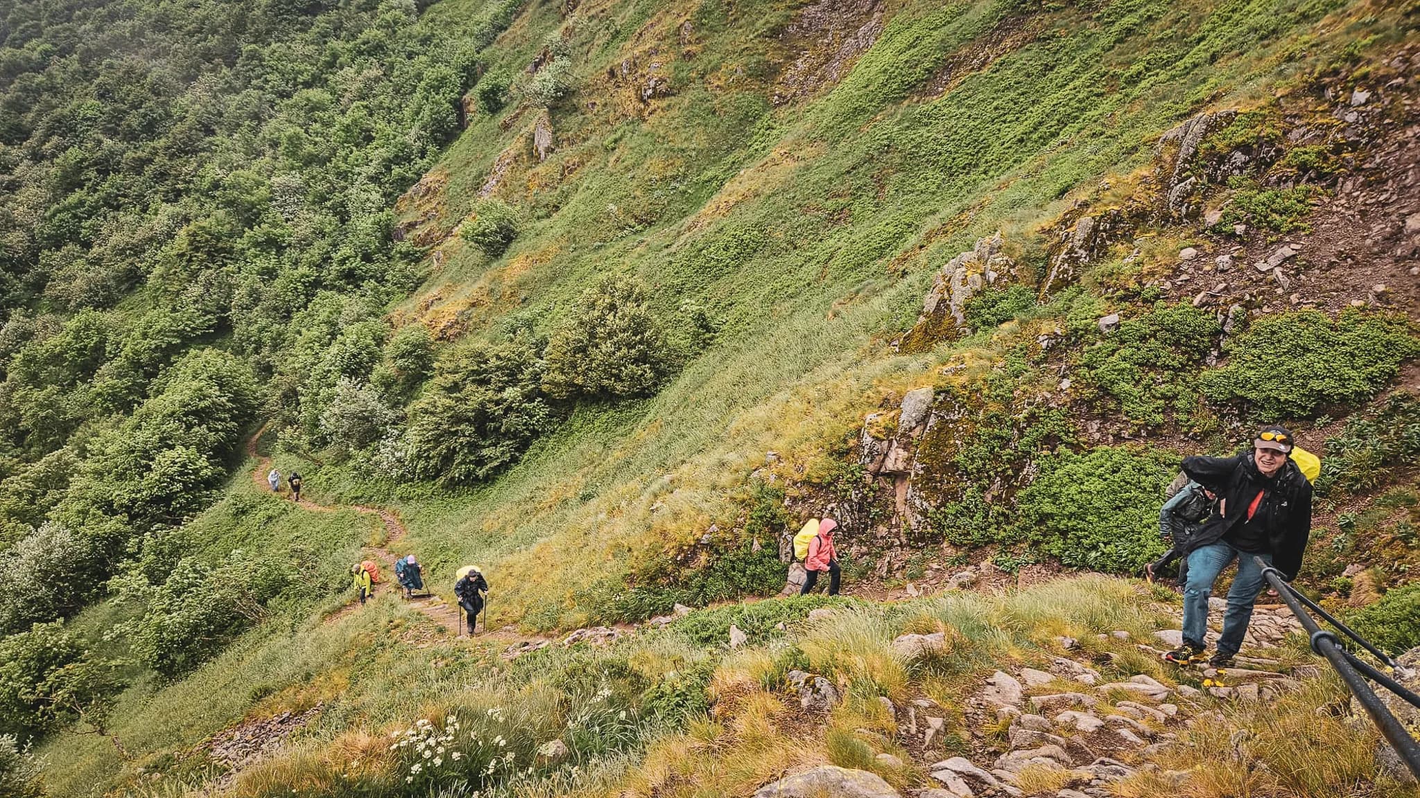 Randonnée sur les pentes verdoyantes des Vosges, avec des randonneurs explorant la nature.
