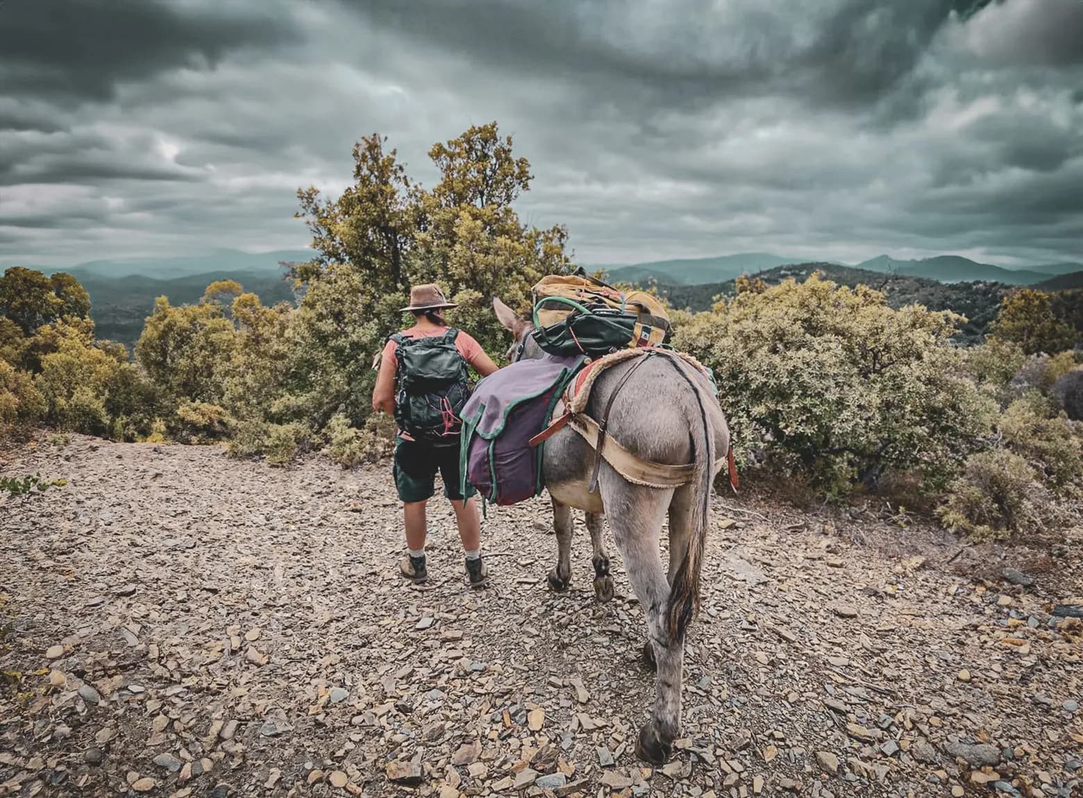 Wandelen met een ezel over een steil pad, onder een dramatische hemel, in het hart van de Cevennen.