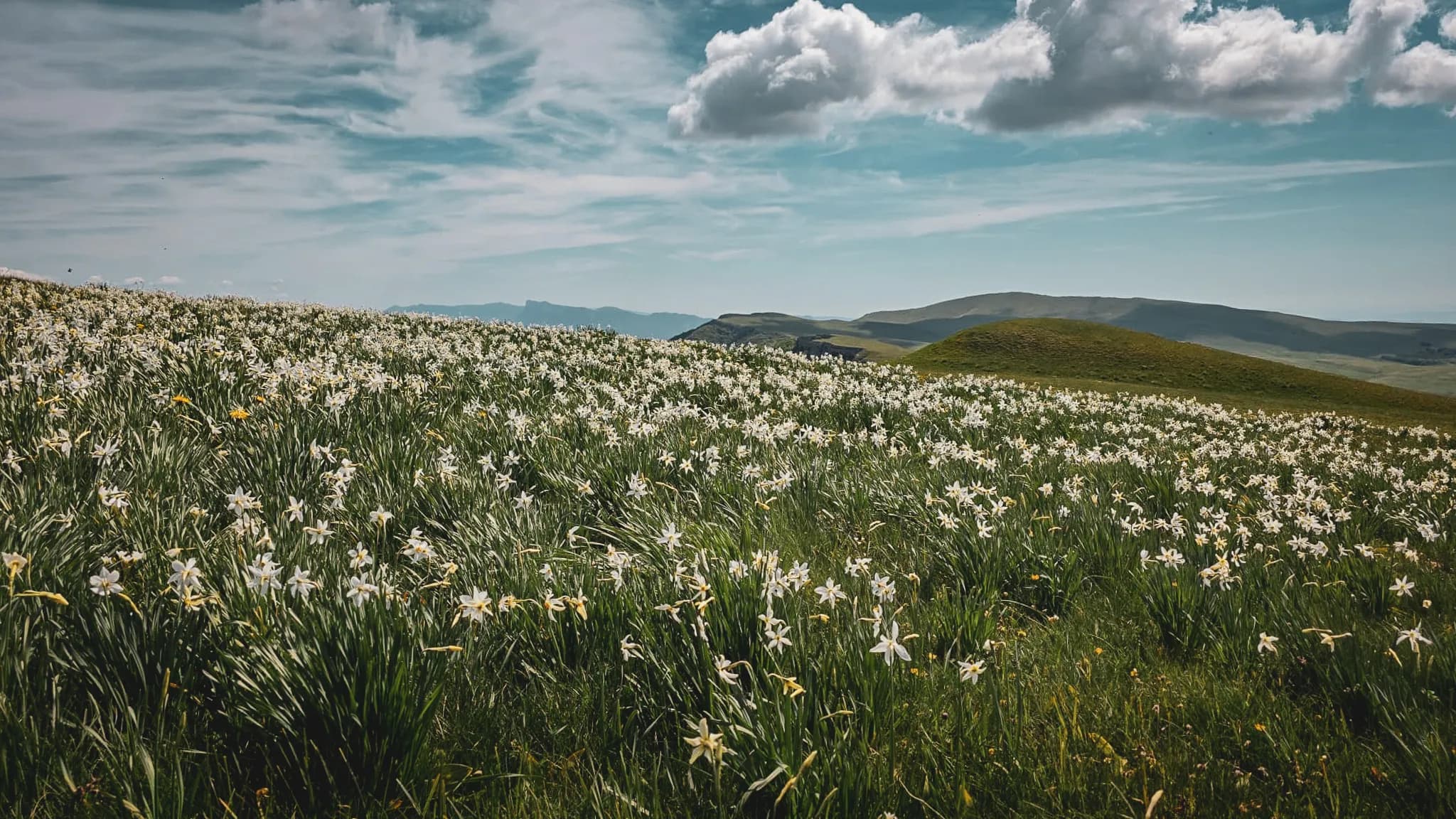Het groene landschap van de Vercors, valleien en bergen onder een blauwe hemel, een uitnodiging om te ontsnappen.