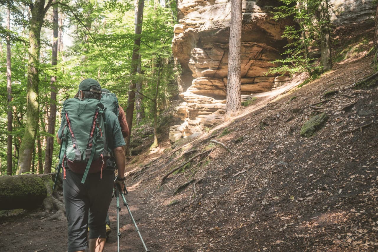 Hikers on an enchanting trail in Luxembourg's Little Switzerland, surrounded by greenery.