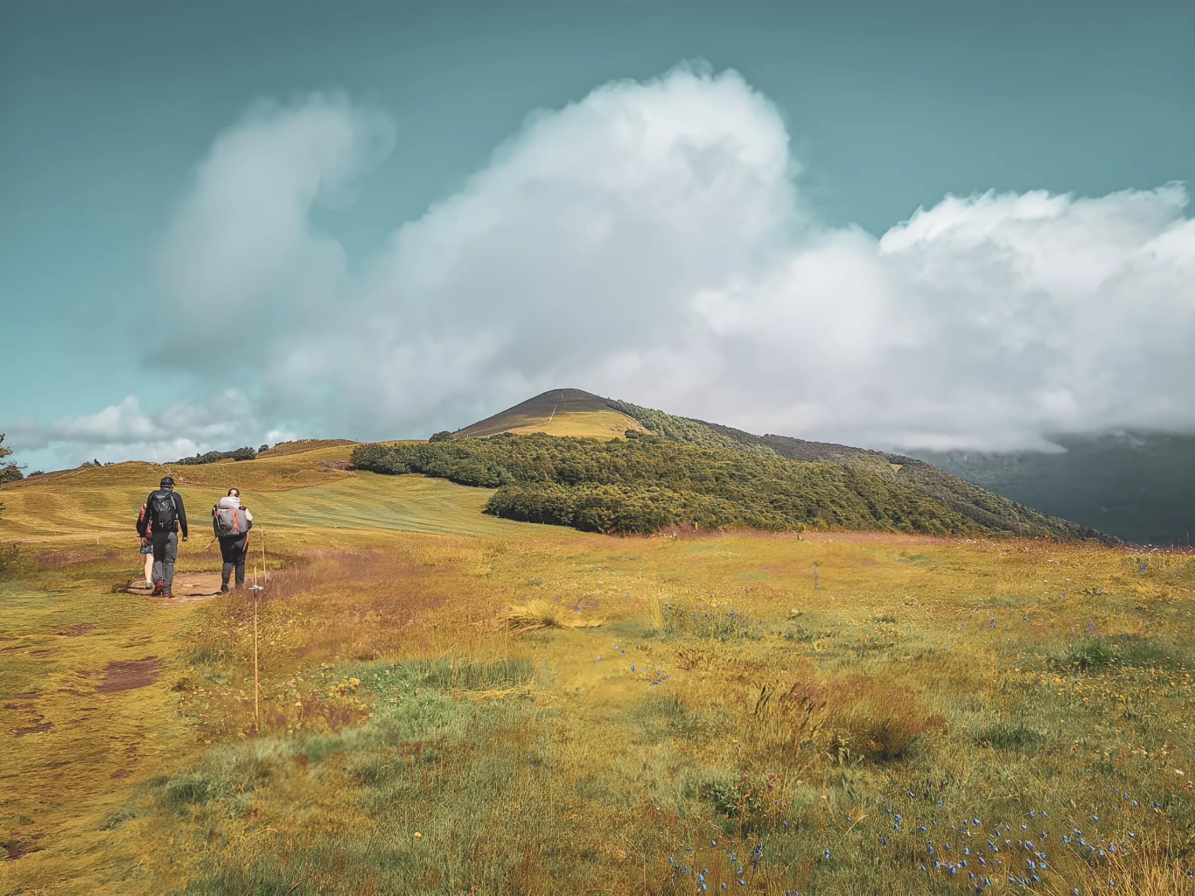 Deux randonneurs cheminent sur une vaste prairie verdoyante avec des collines sous un ciel nuageux.