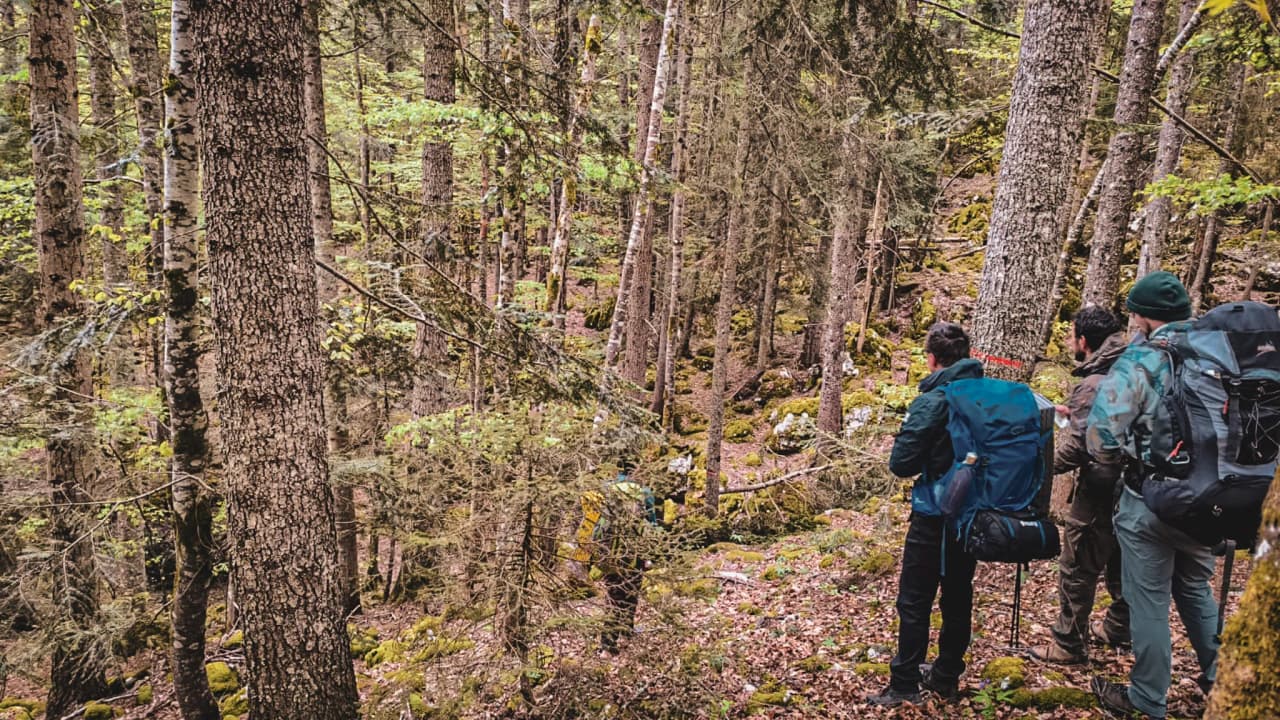 Groupe d'aventuriers en forêt du Vercors, prêts pour une expédition de survie et déconnexion.