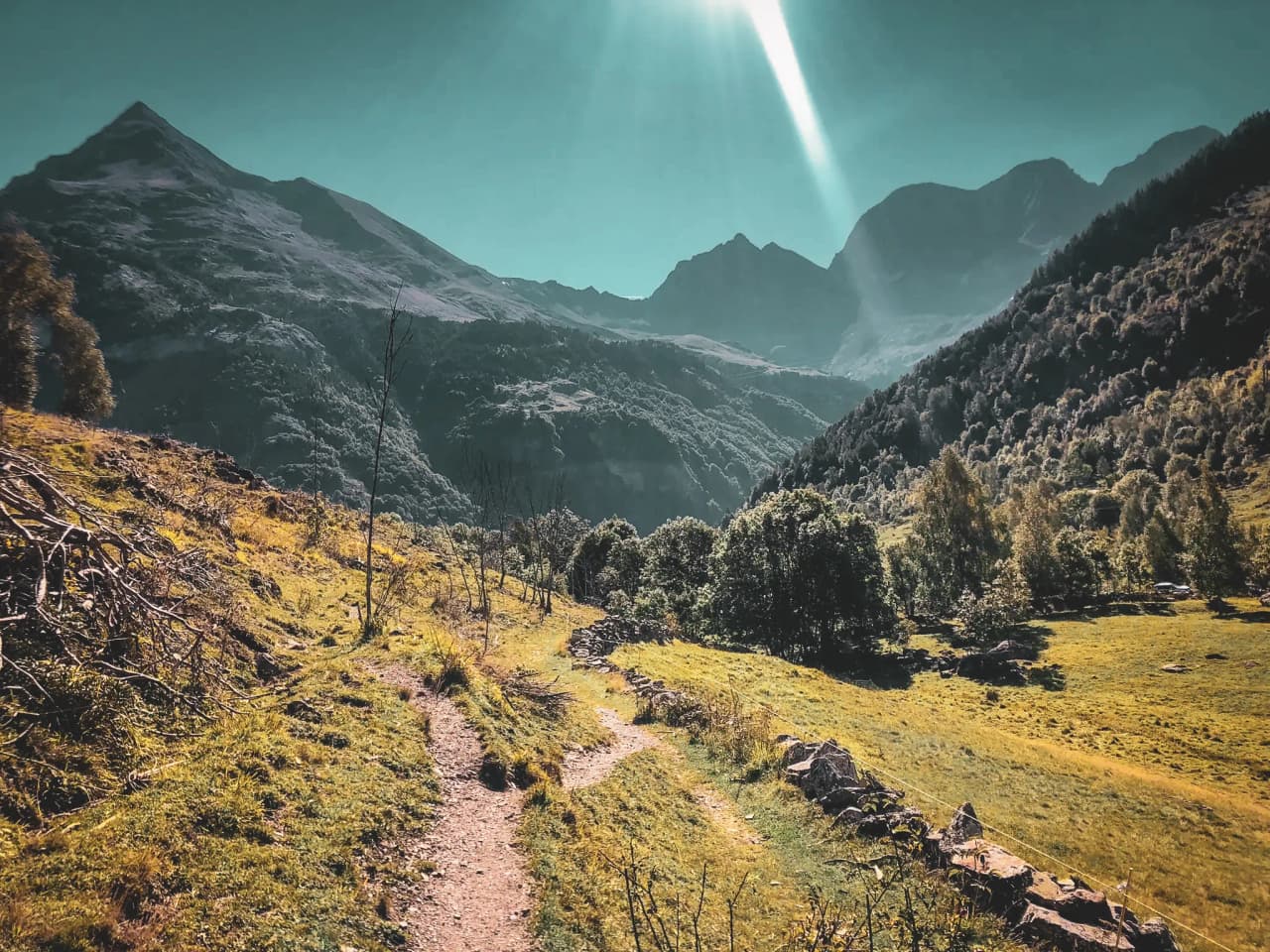 Gemini a dit Un sentier de terre bifurque au cœur d'un vallon ensoleillé, menant le regard vers d'imposants massifs montagneux