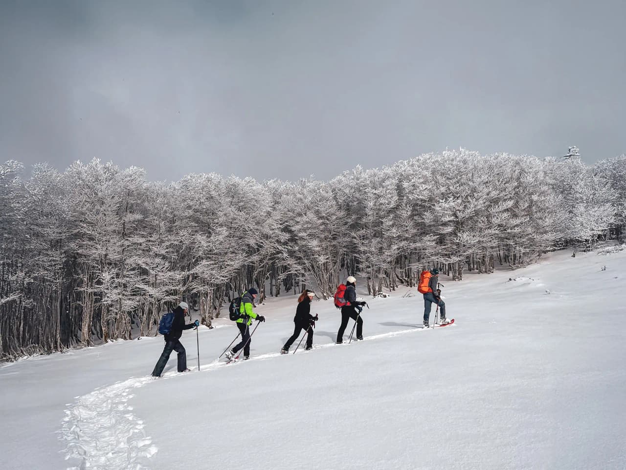 Group of snowshoe hikers in the snow, with a mountain landscape in the background.