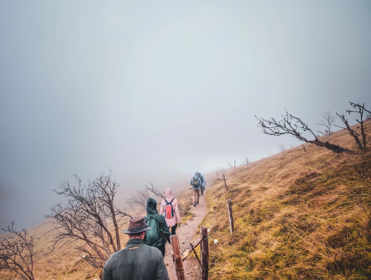 Randonnée brumeuse dans les Vosges, nature sauvage et aventure au cœur des montagnes.