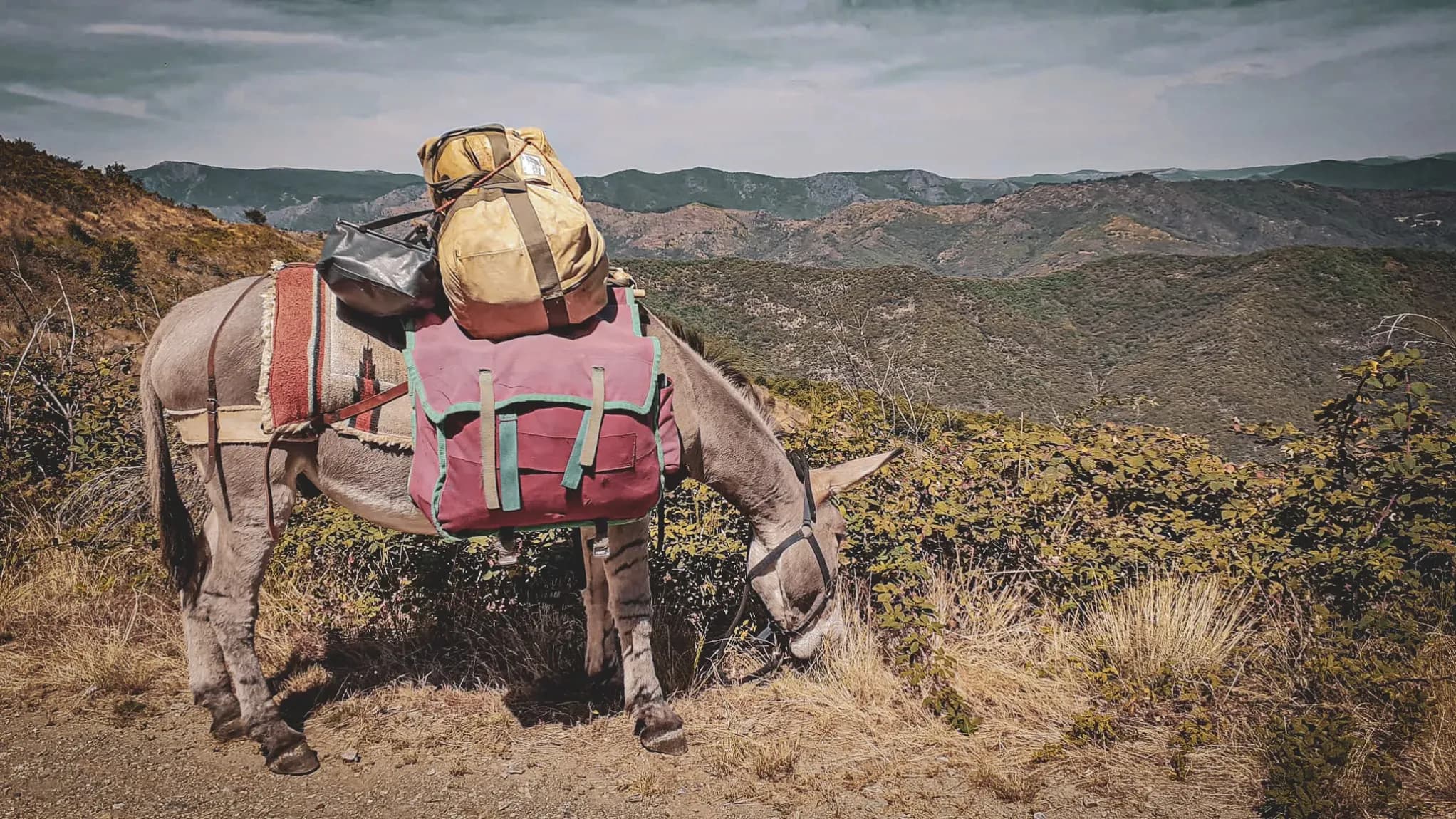 Een beladen ezel die gras eet, met bergen op de achtergrond, een uitnodiging voor avontuur.