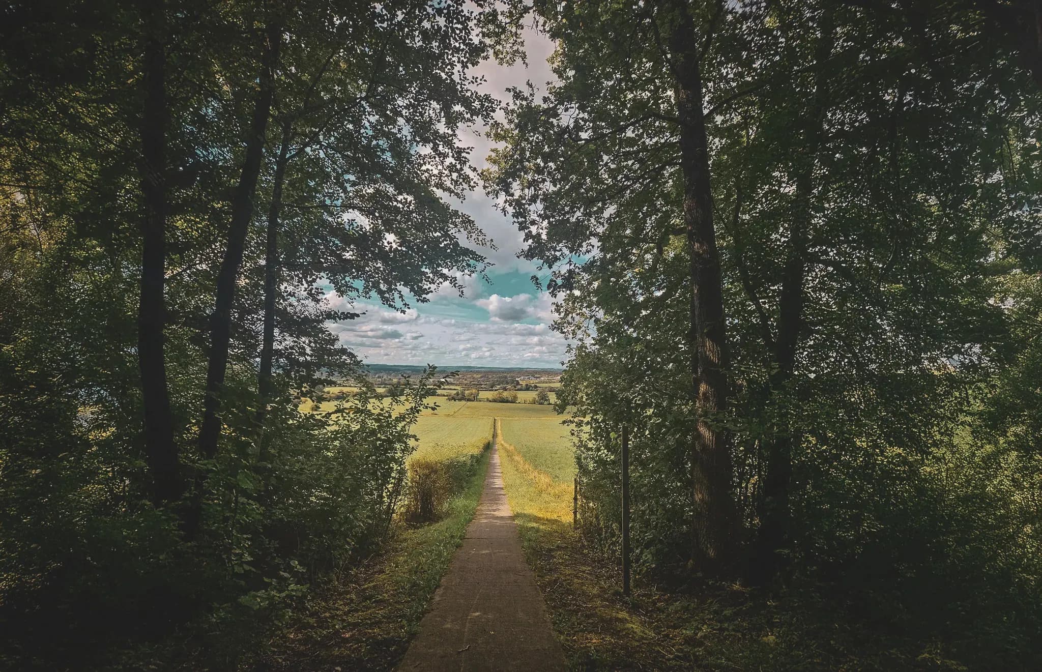 Un sentier de béton serpentant entre les arbres, menant à des champs verdoyants sous un ciel bleu.
