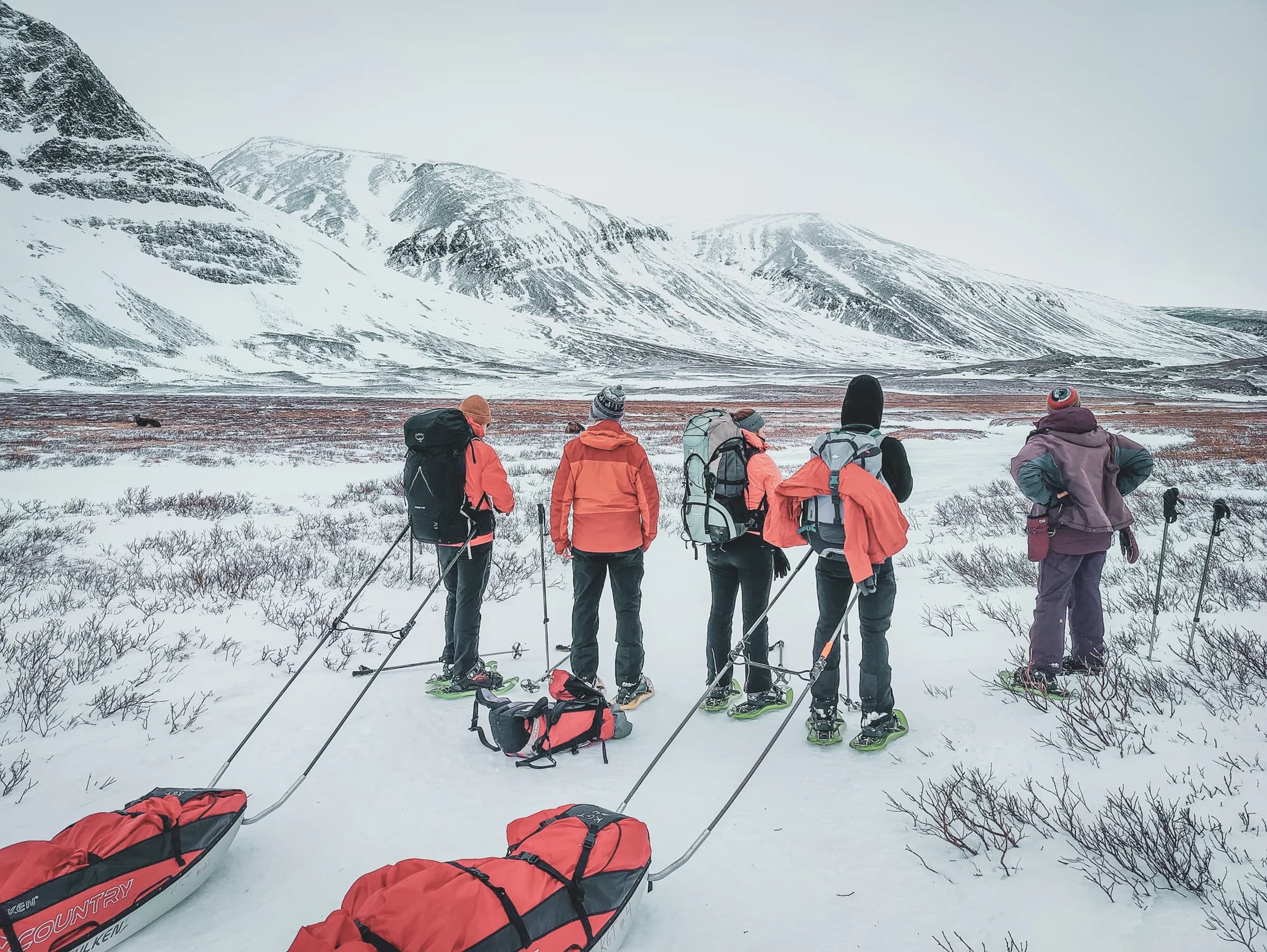 Cinq aventuriers en raquettes admirent les montagnes enneigées, prêts pour l'expédition en Laponie.