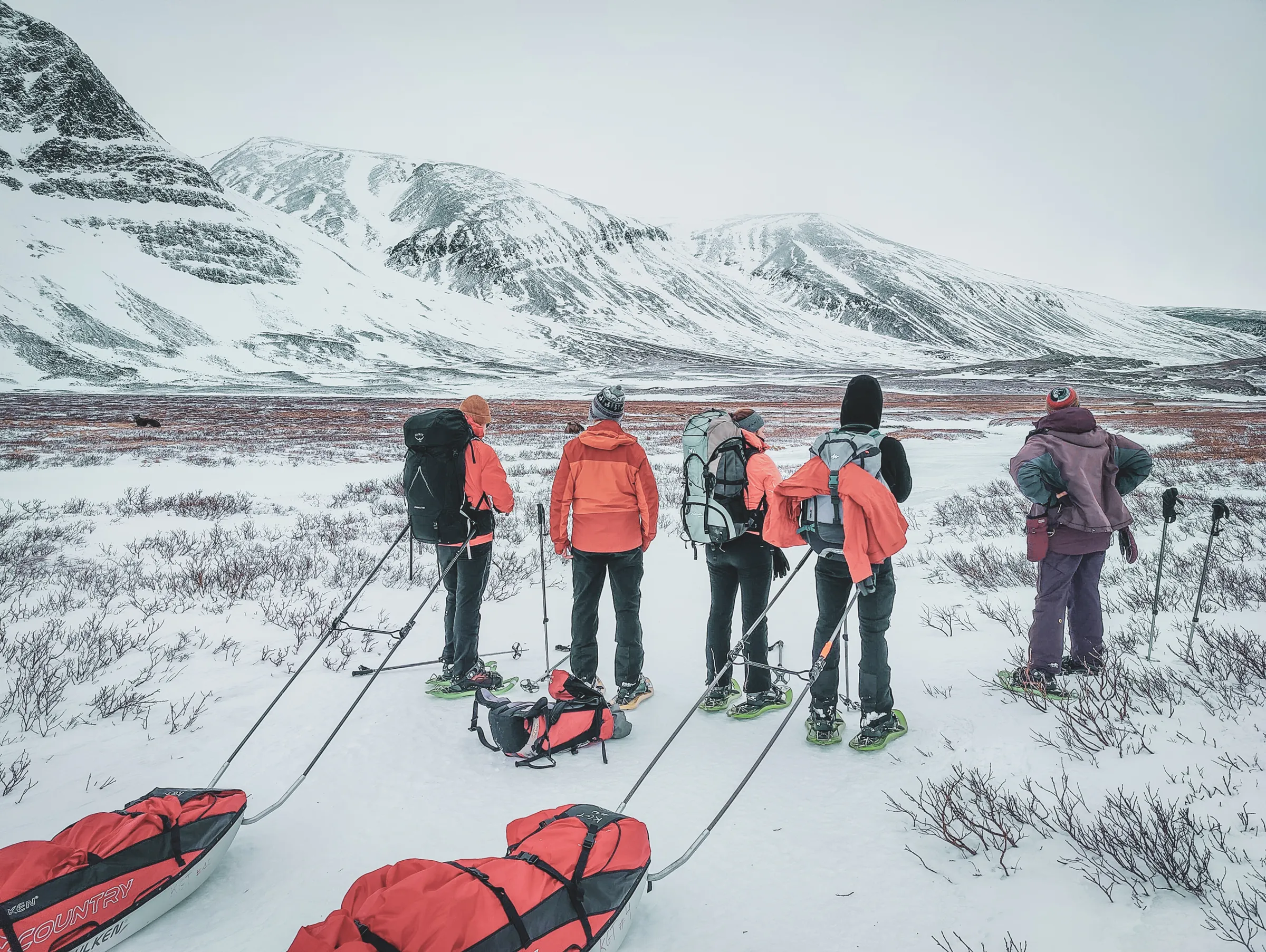 Cinq aventuriers en raquettes admirent les montagnes enneigées, prêts pour l'expédition en Laponie.