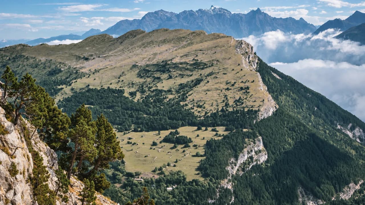 Uitgestrekte landschappen van de Hoge Vercors-plateaus, tussen groene bergen en een blauwe hemel.