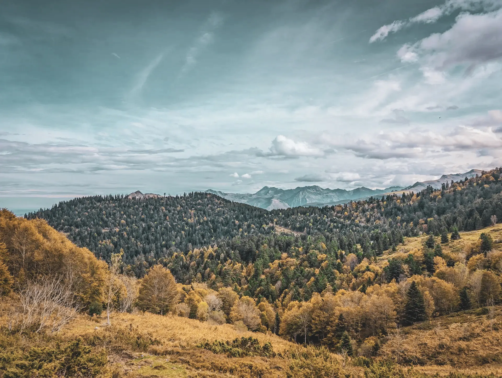 Schilderachtige landschappen in de Pyreneeën, tussen weelderig groene valleien en majestueuze bergtoppen onder een bewolkte hemel.