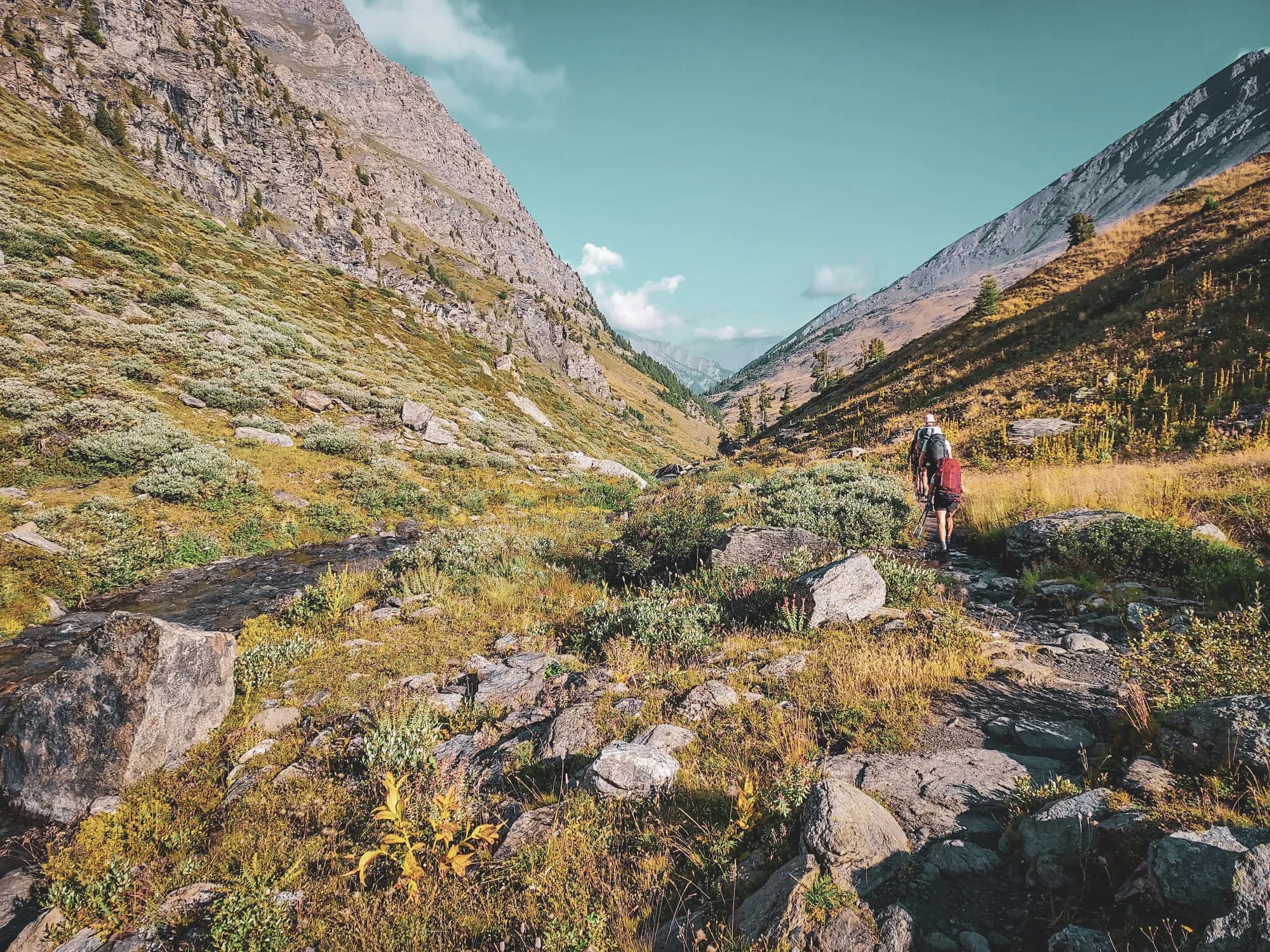 Alpenwandelen tussen groene valleien en majestueuze bergen, een uitnodiging tot avontuur.