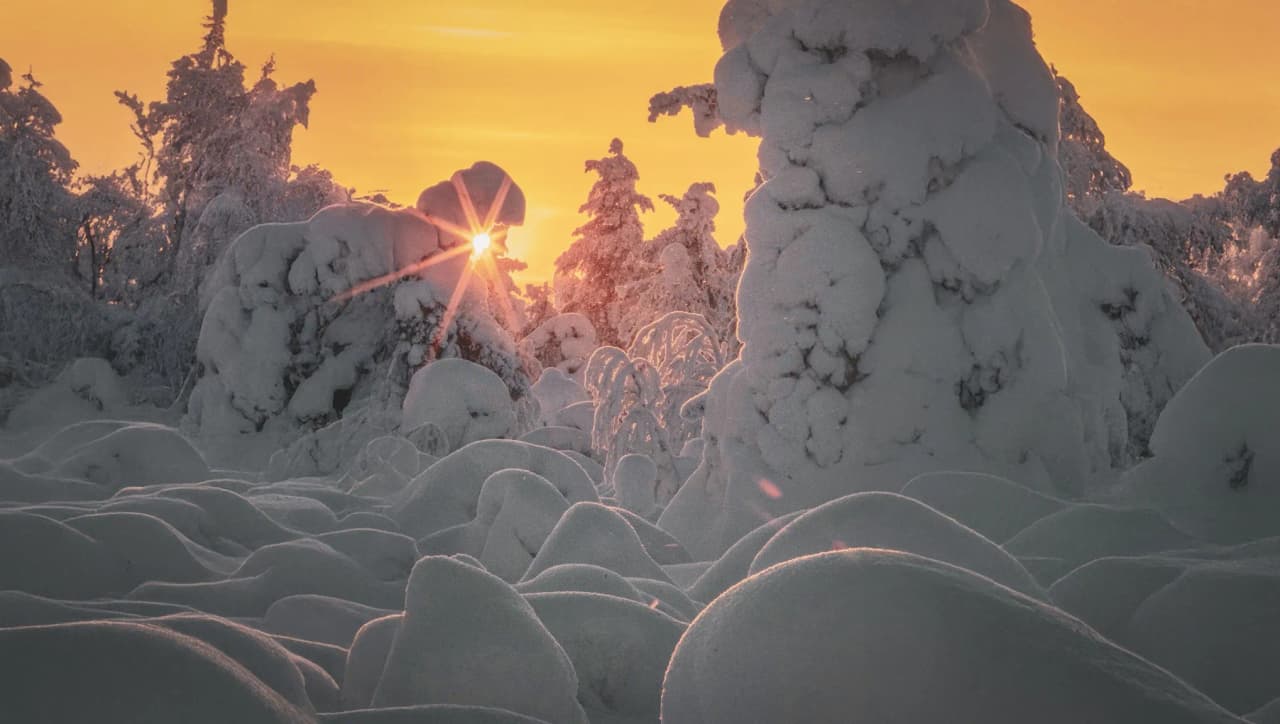 Coucher de soleil sur un paysage enneigé, illuminant les arbres en Laponie magique.