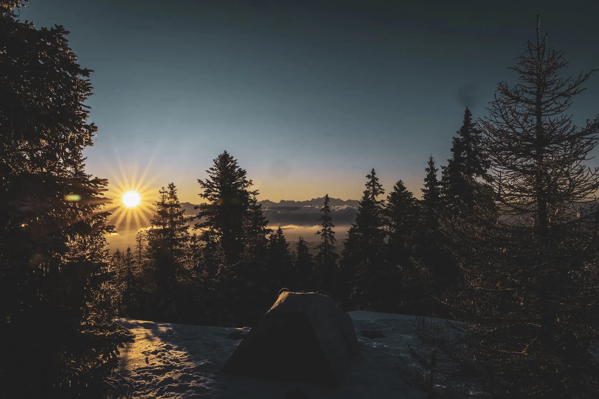 Sunrise over a snow-covered Jura landscape, surrounded by majestic fir trees and a welcoming bivouac.