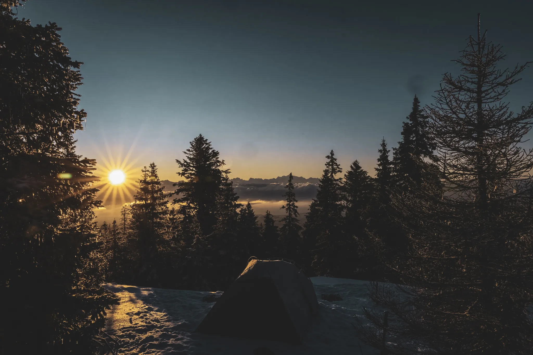 Sunrise over a snow-covered Jura landscape, surrounded by majestic fir trees and a welcoming bivouac.