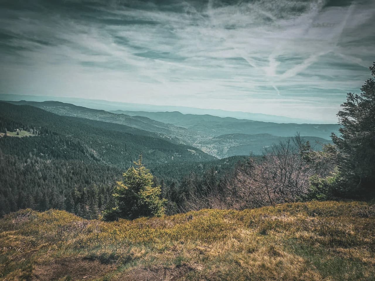 Panoramic view of the Vosges, with green hills under a cloudy sky, an invitation to adventure.