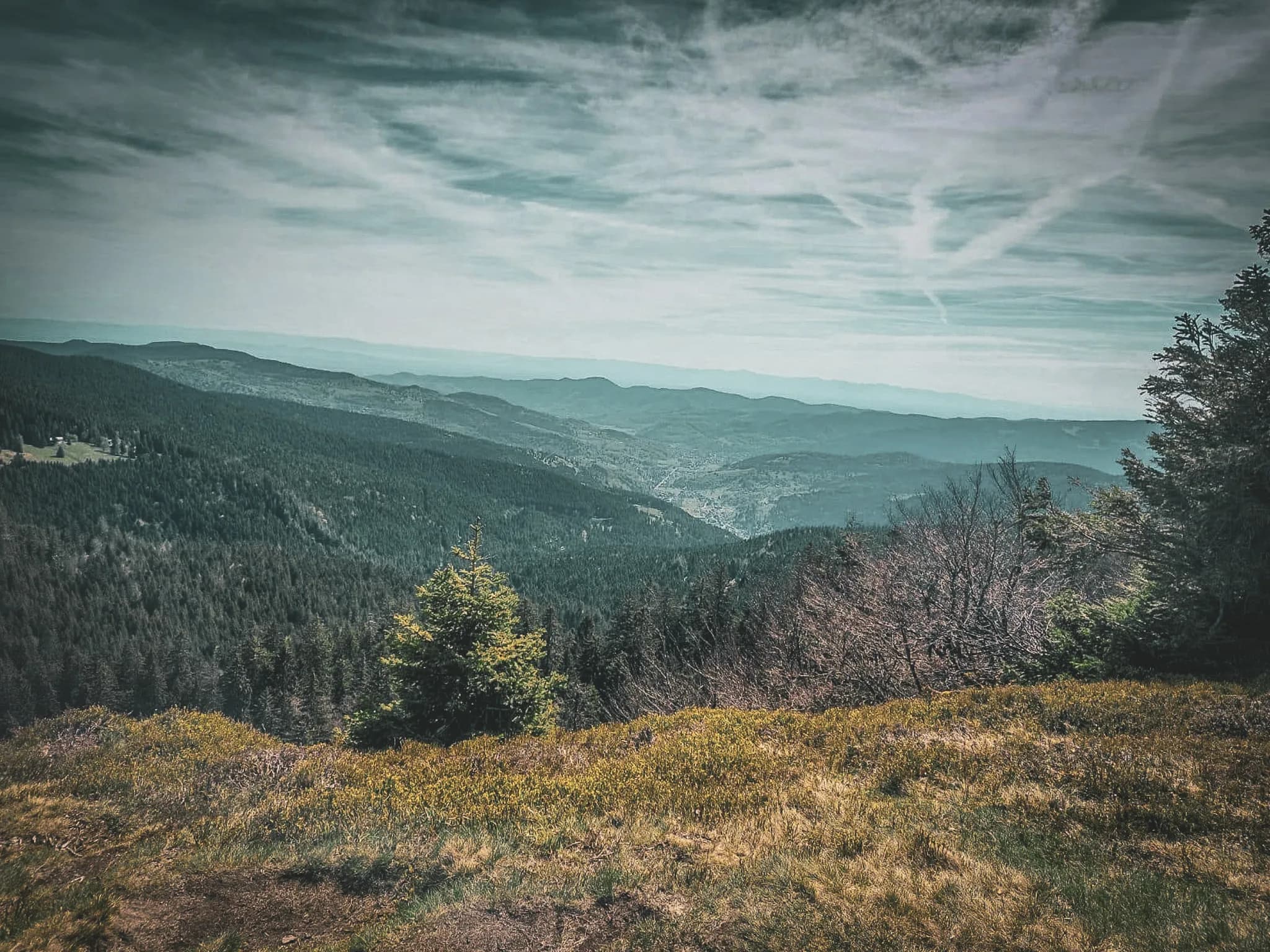Panoramic view of the Vosges, with green hills under a cloudy sky, an invitation to adventure.