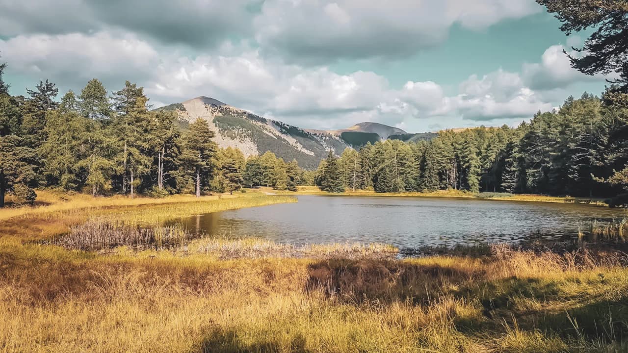 Lac tranquille entouré de forêts majestueuses et de sommets enchanteurs des Écrins.