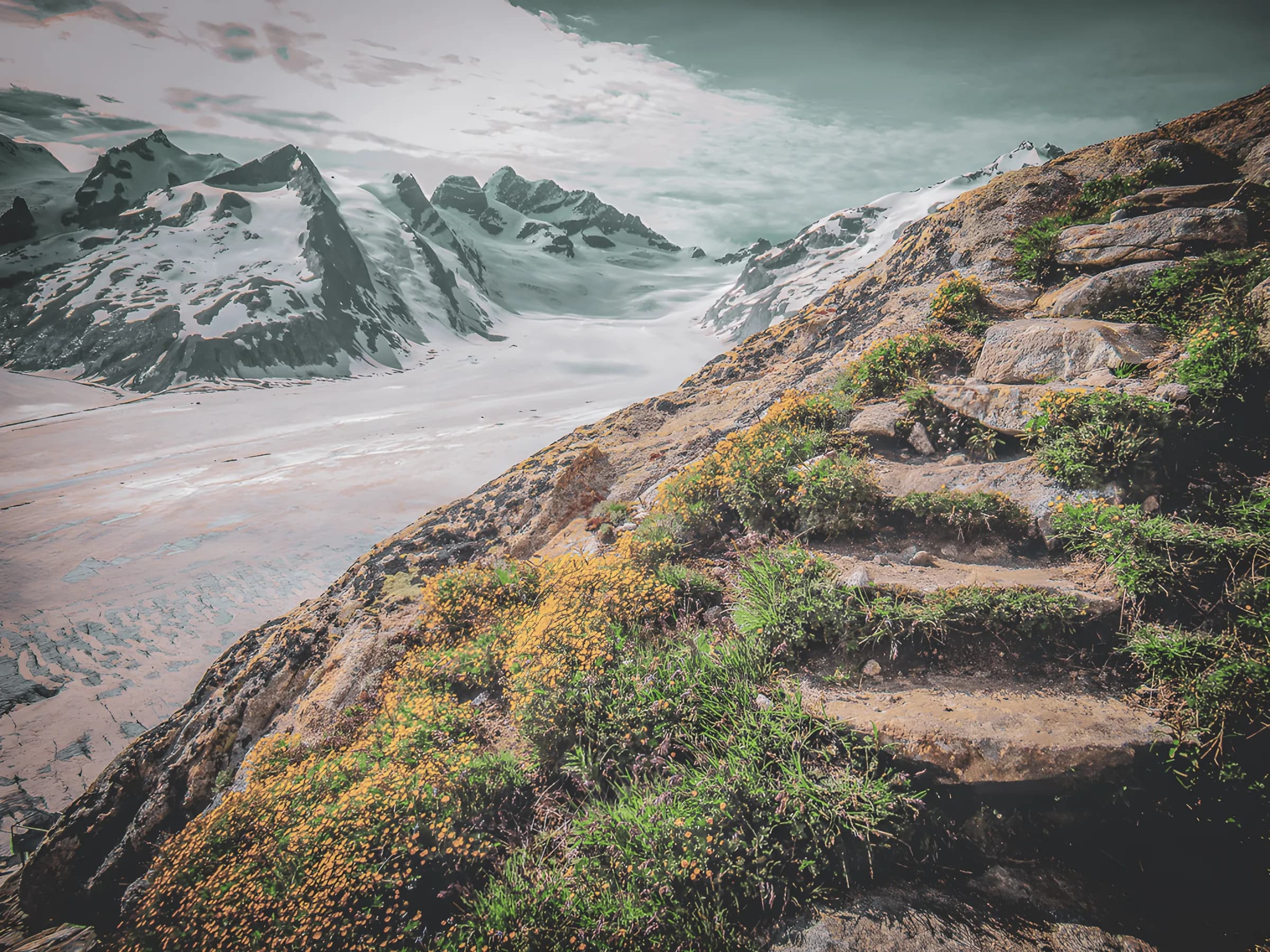 A flower-filled stone path overlooking the Aletsch glacier and majestic Alpine peaks.