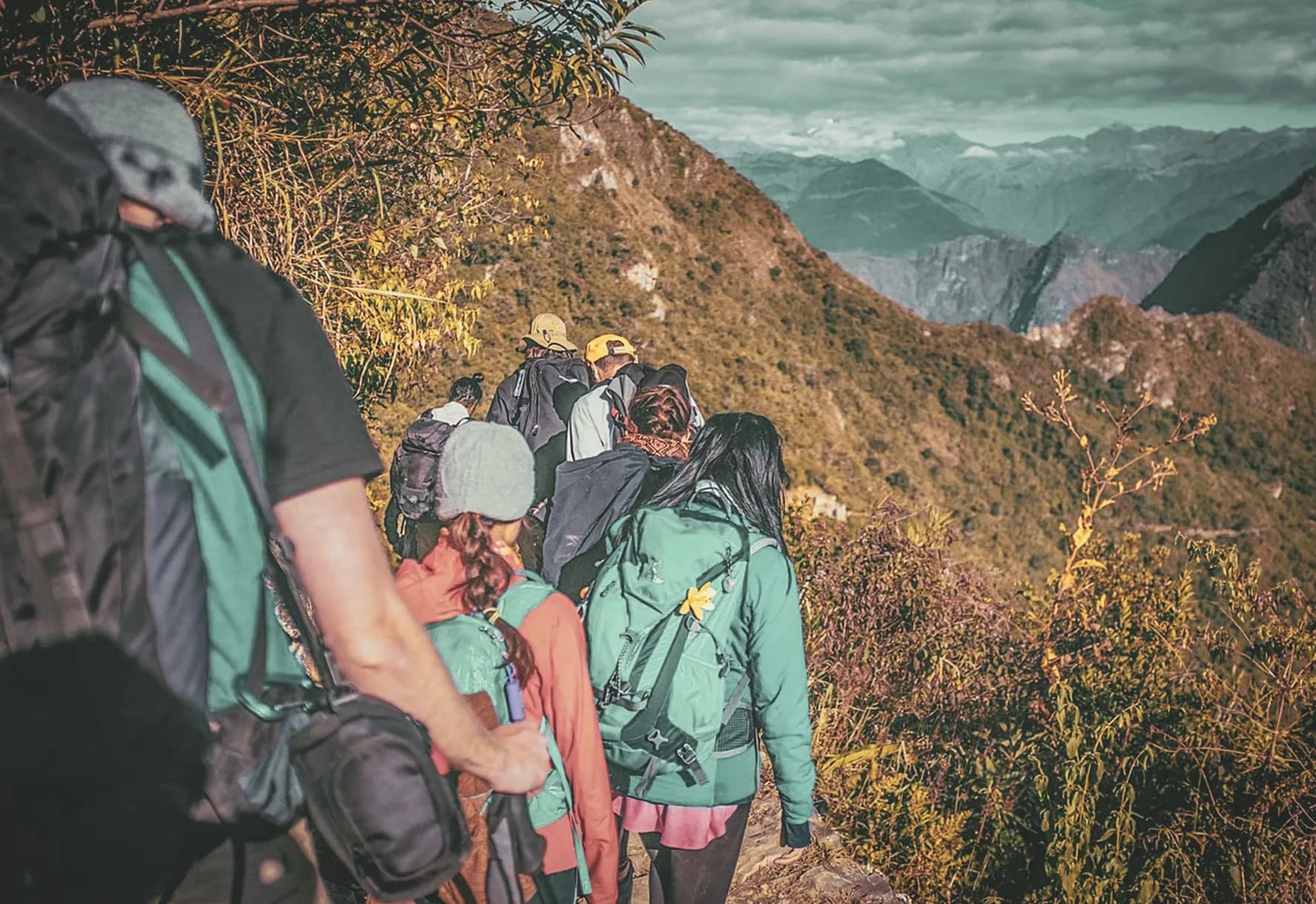 A group of hikers in the heart of nature, walking along a majestic path.