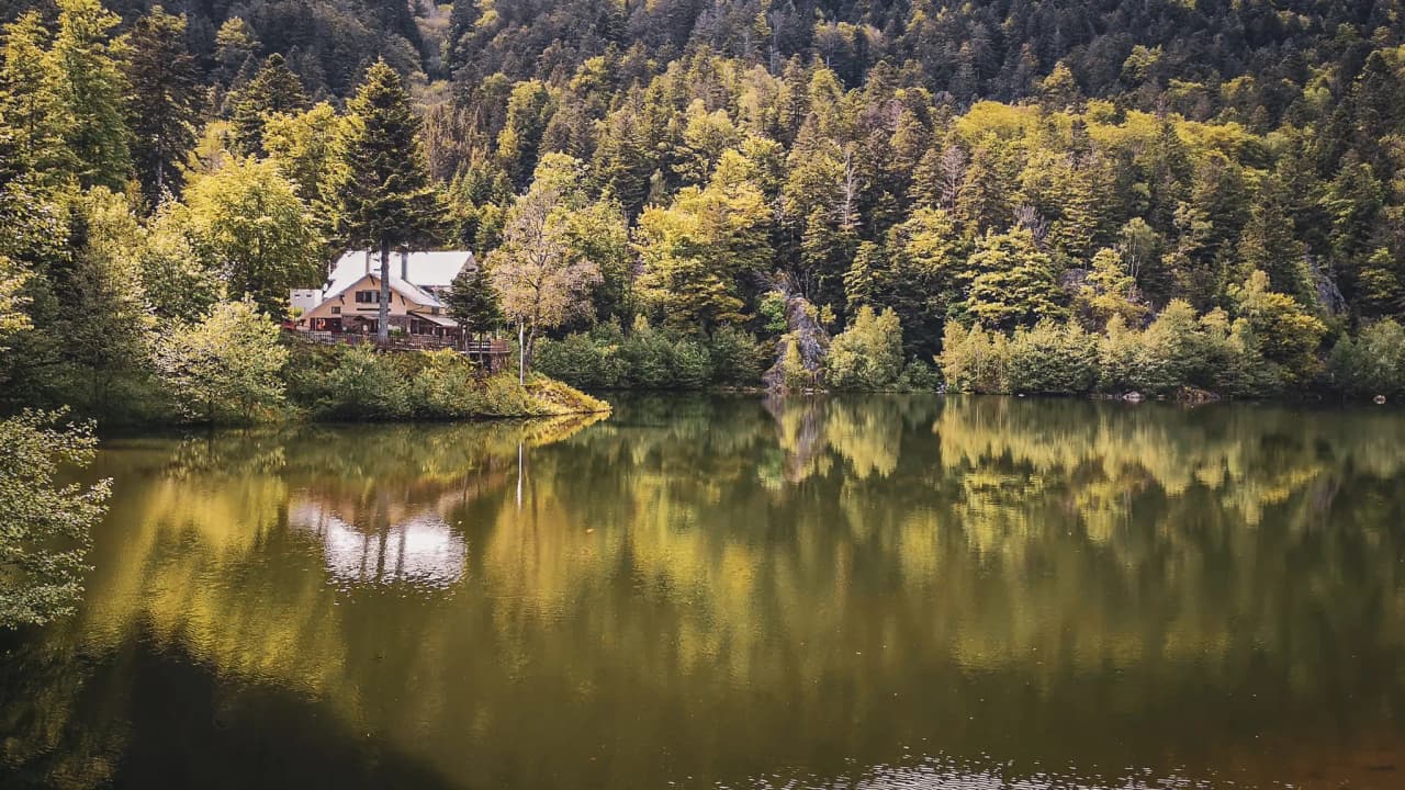 Maison pittoresque au bord d'un lac tranquille, entourée de forêts verdoyantes dans les Vosges.
