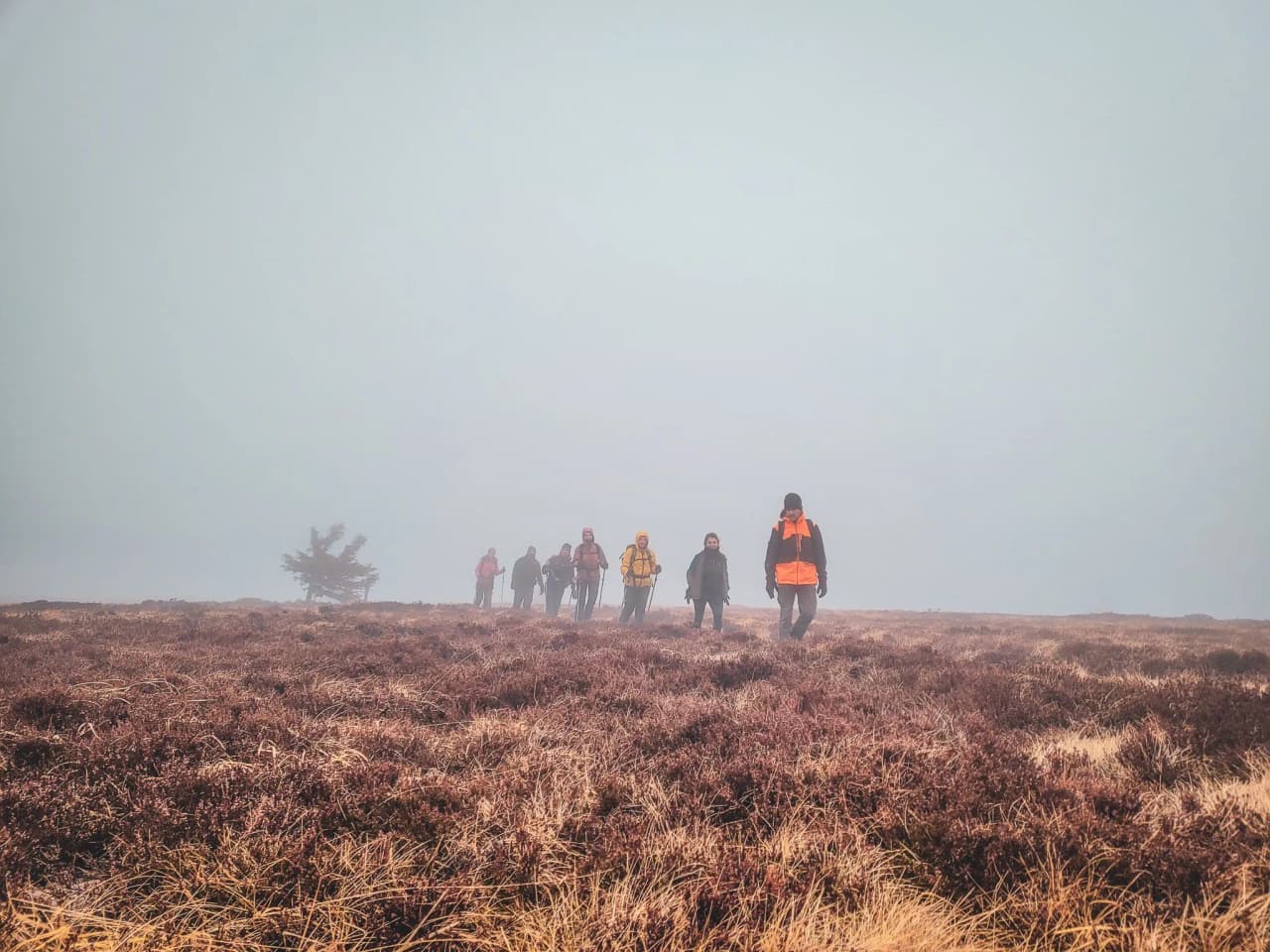 Groupe de randonneurs en montagne, plongés dans la brume des Vosges au cœur de la nature.