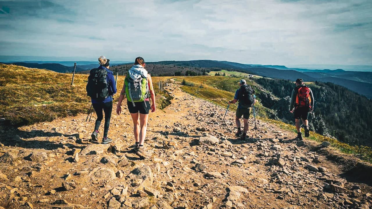 A group of hikers on a mountain trail in the Vosges, with breathtaking scenery.