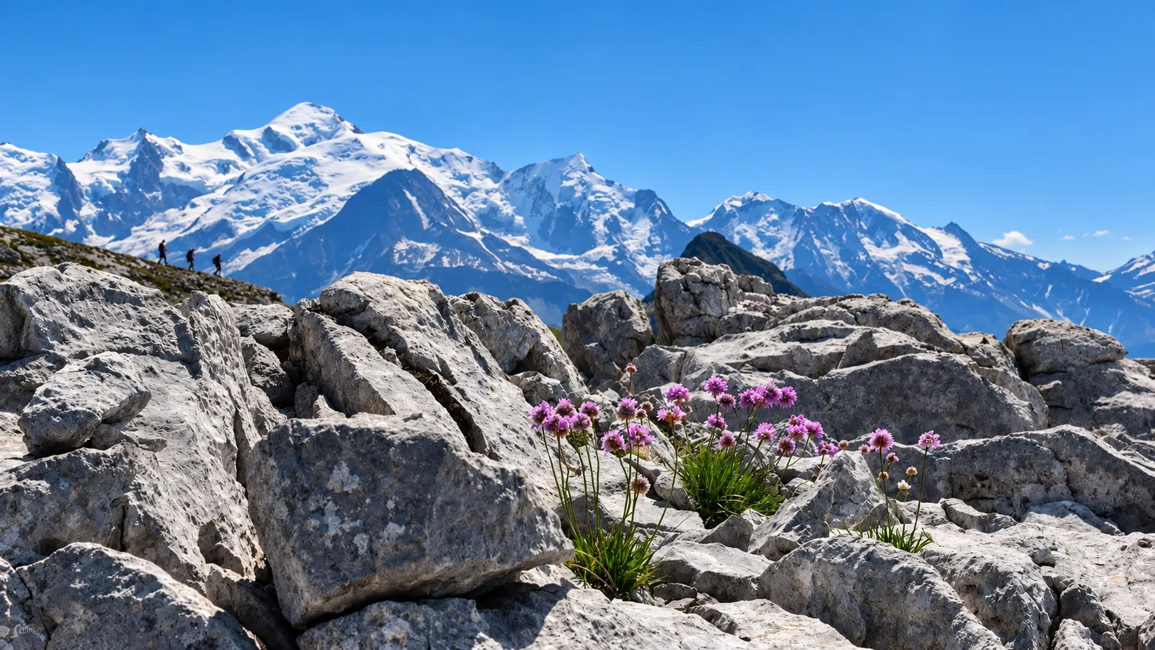 Majestic mountains, wild flowers and walkers beneath an azure blue sky.