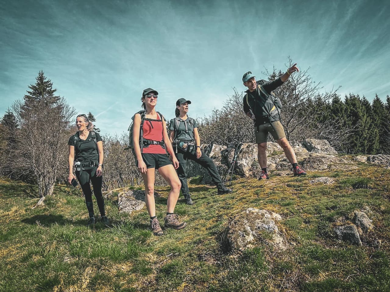Four hikers enjoy a panoramic view of the Vosges, surrounded by greenery.