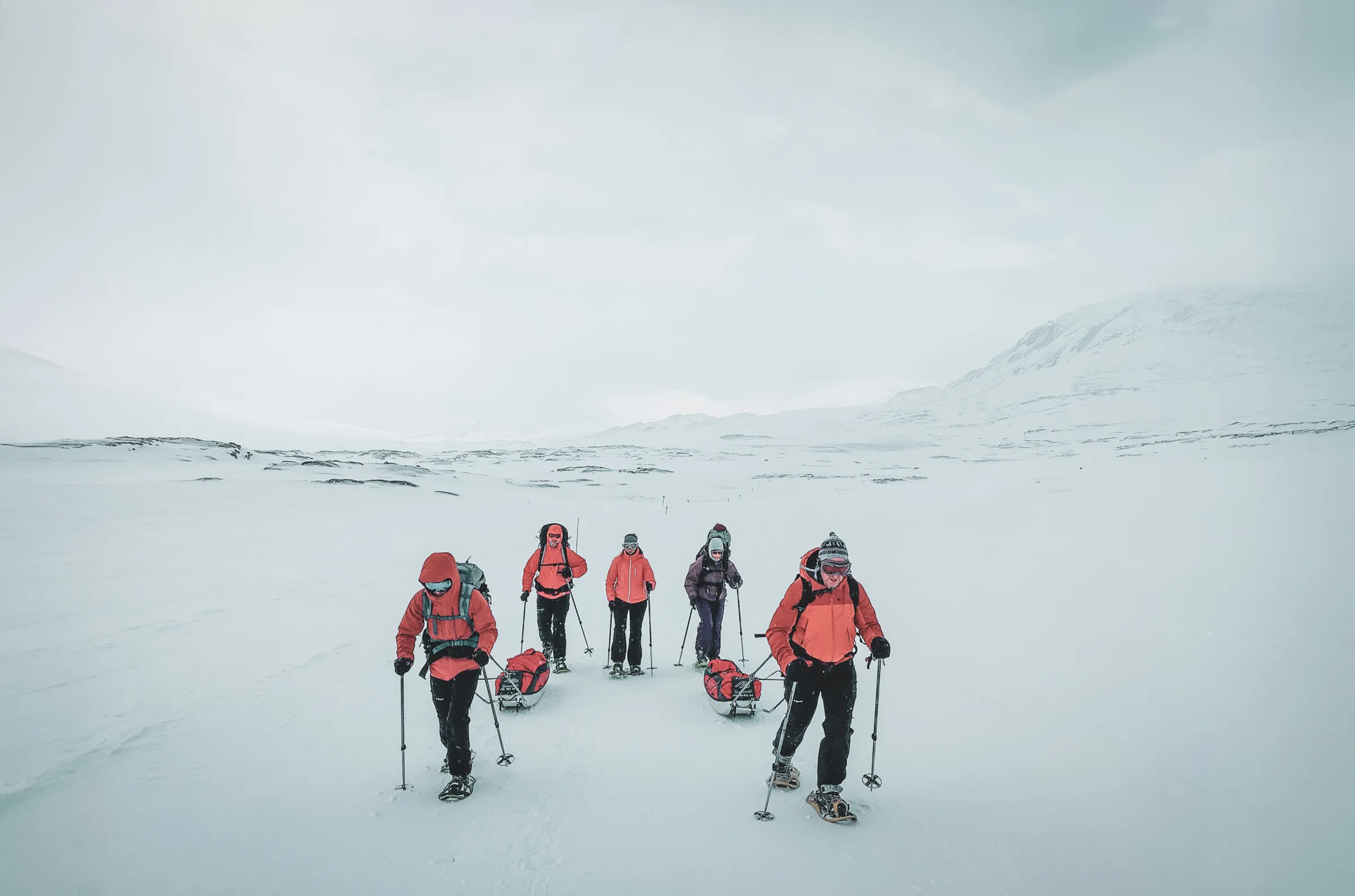 A group of adventurers on snowshoes, making their way through a snow-covered landscape in Swedish Lapland.