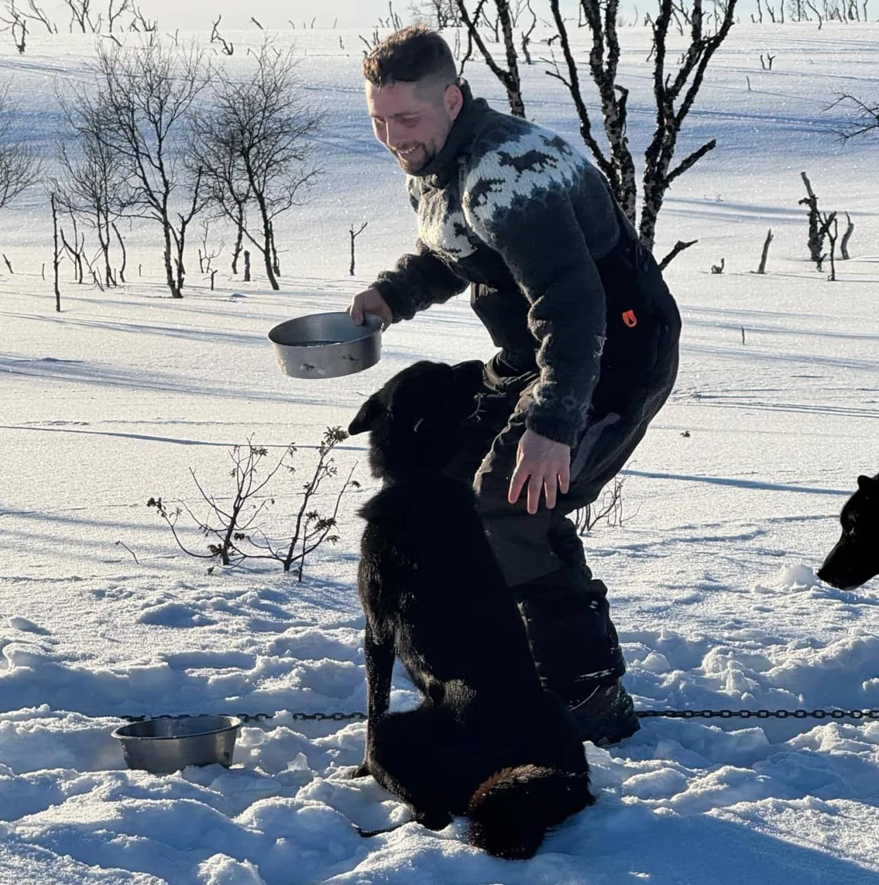 Baudouin - Wildhartt - Professionele hondenslee-gids