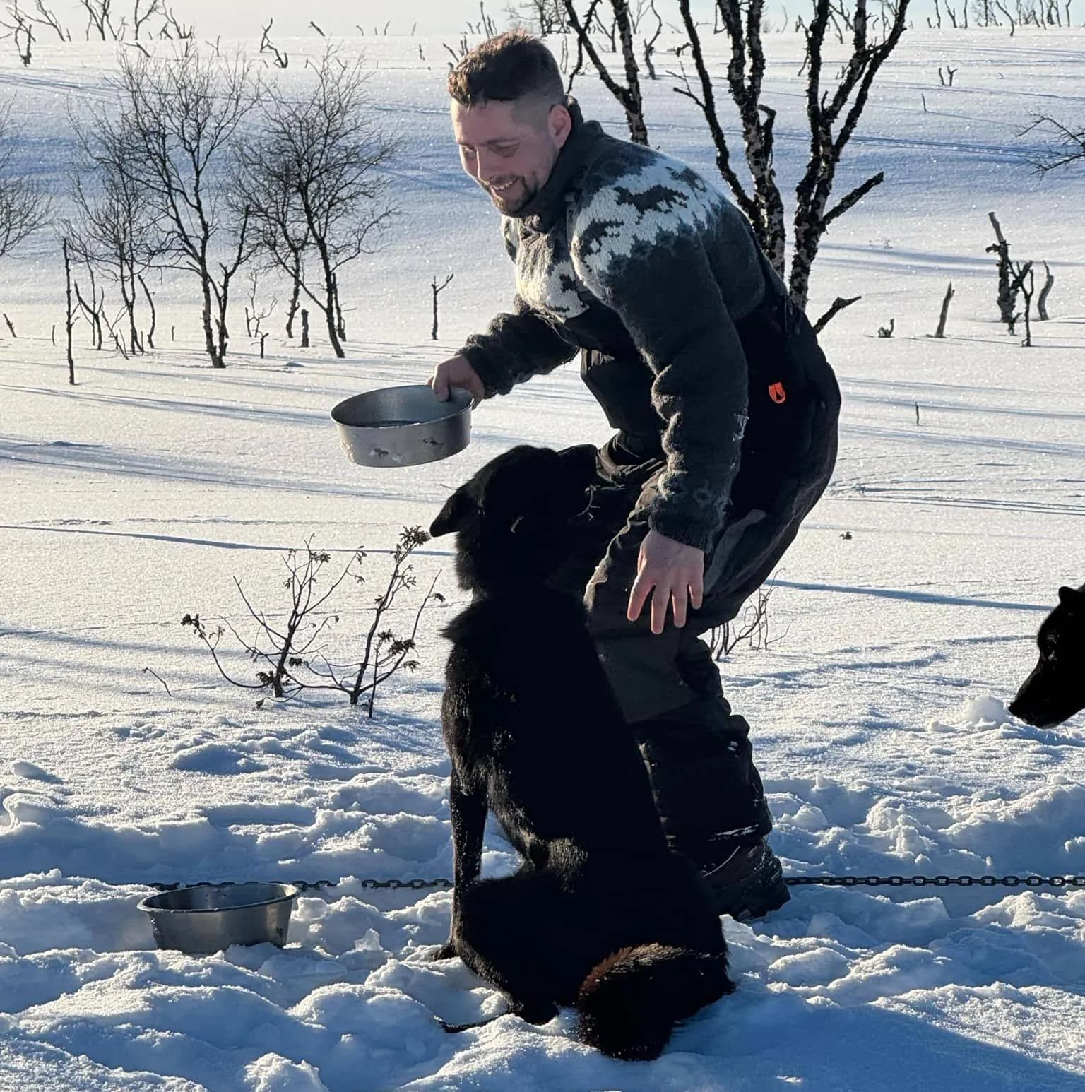Baudouin - Wildhartt - Professional Dog-Sled Guide