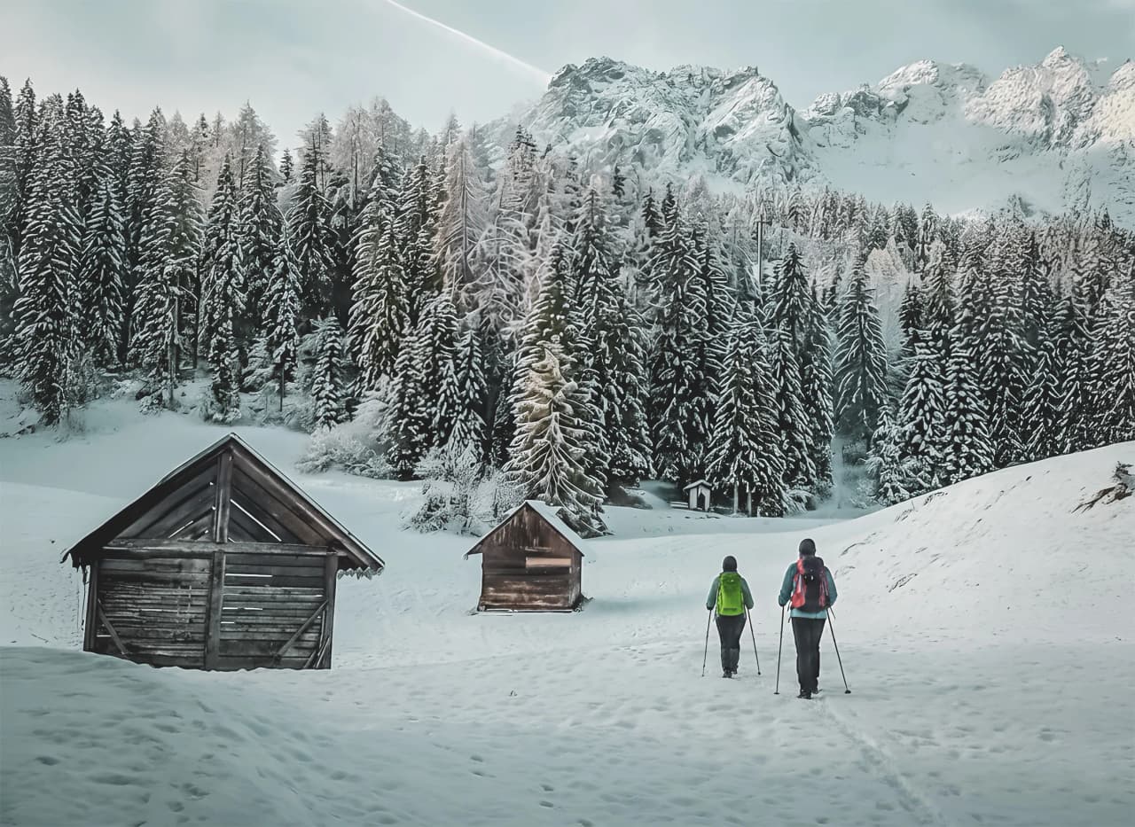 Randonneurs en raquettes au milieu des Alpes juliennes, entourés de sapins enneigés.
