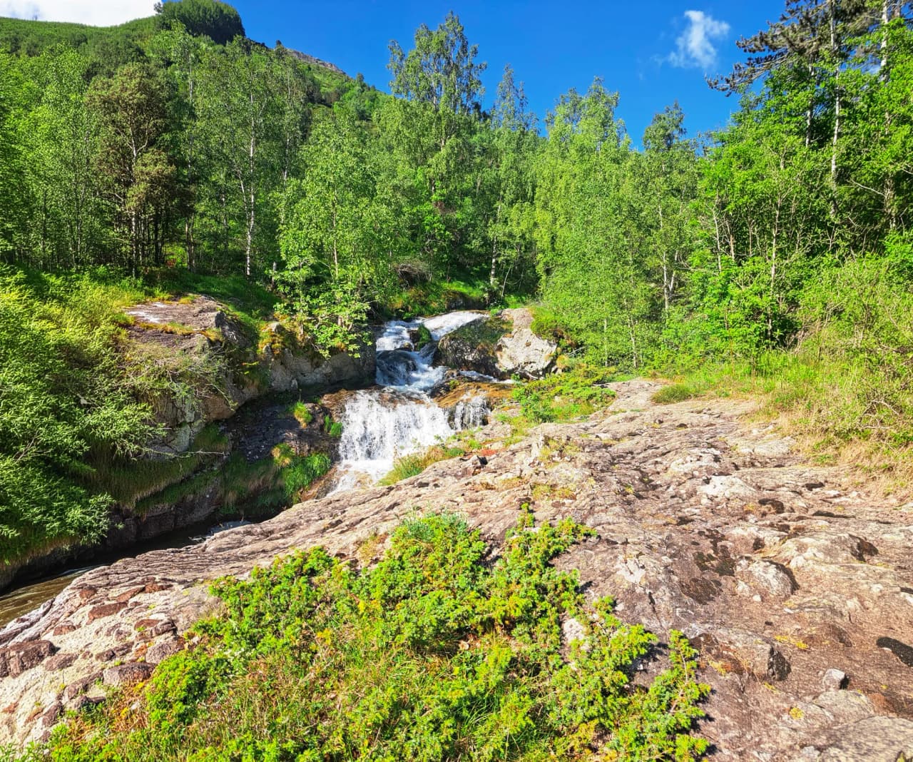 Un ruisseau paisible cascades sur des rochers, entouré de verdure luxuriante et d'arbres.