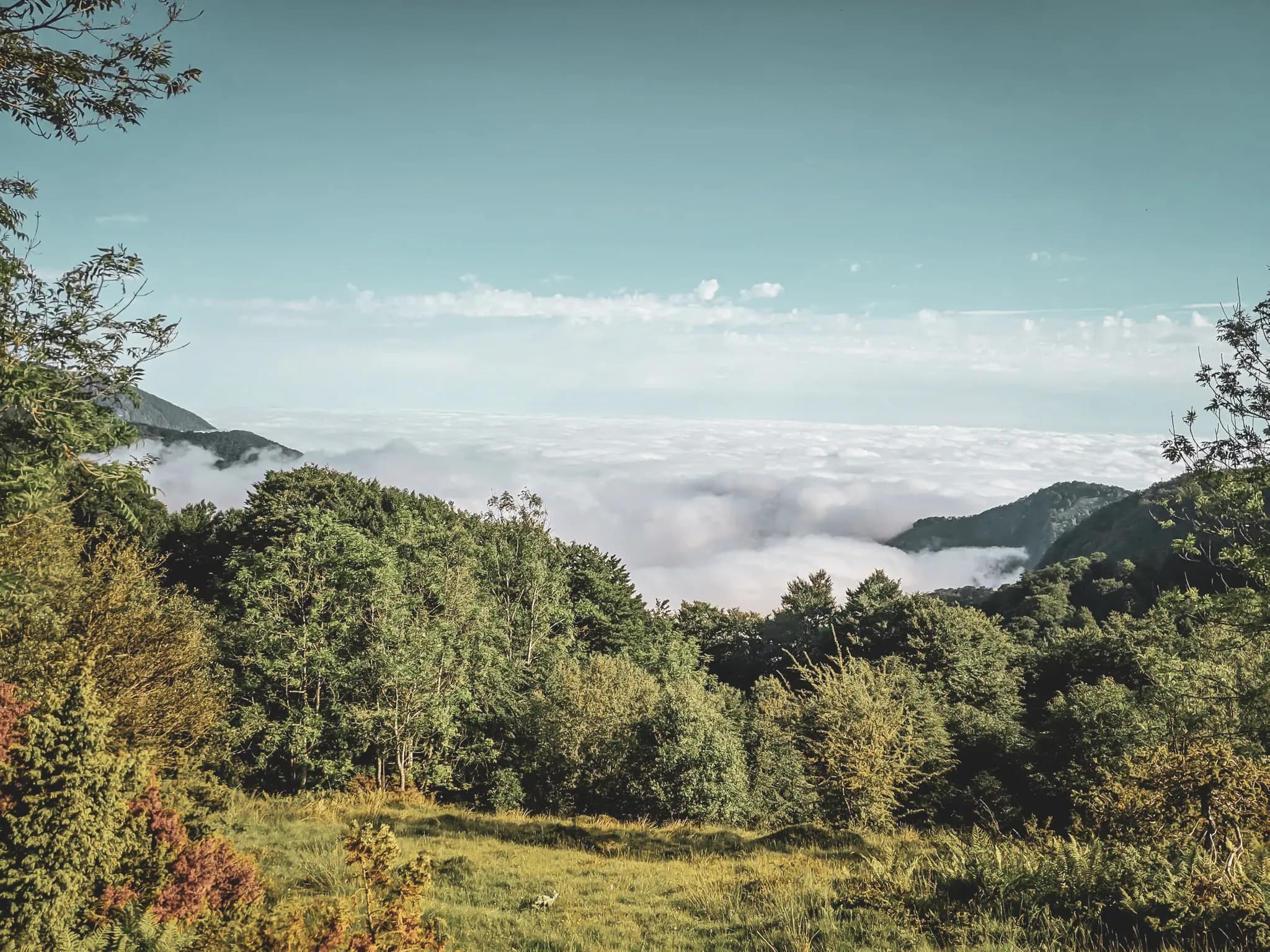 Een adembenemend panorama van groene bergen die oprijzen uit een zee van wolken.
