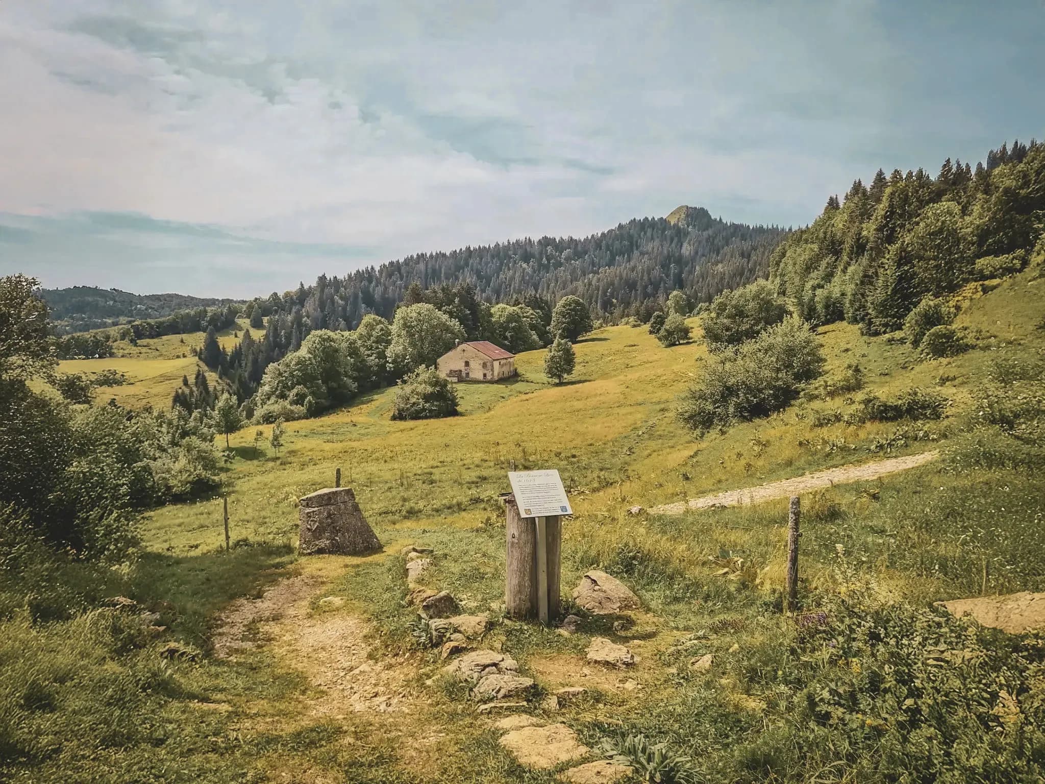 Een groen Jura landschap met glooiende heuvels, een rustiek huis en een kronkelend pad.